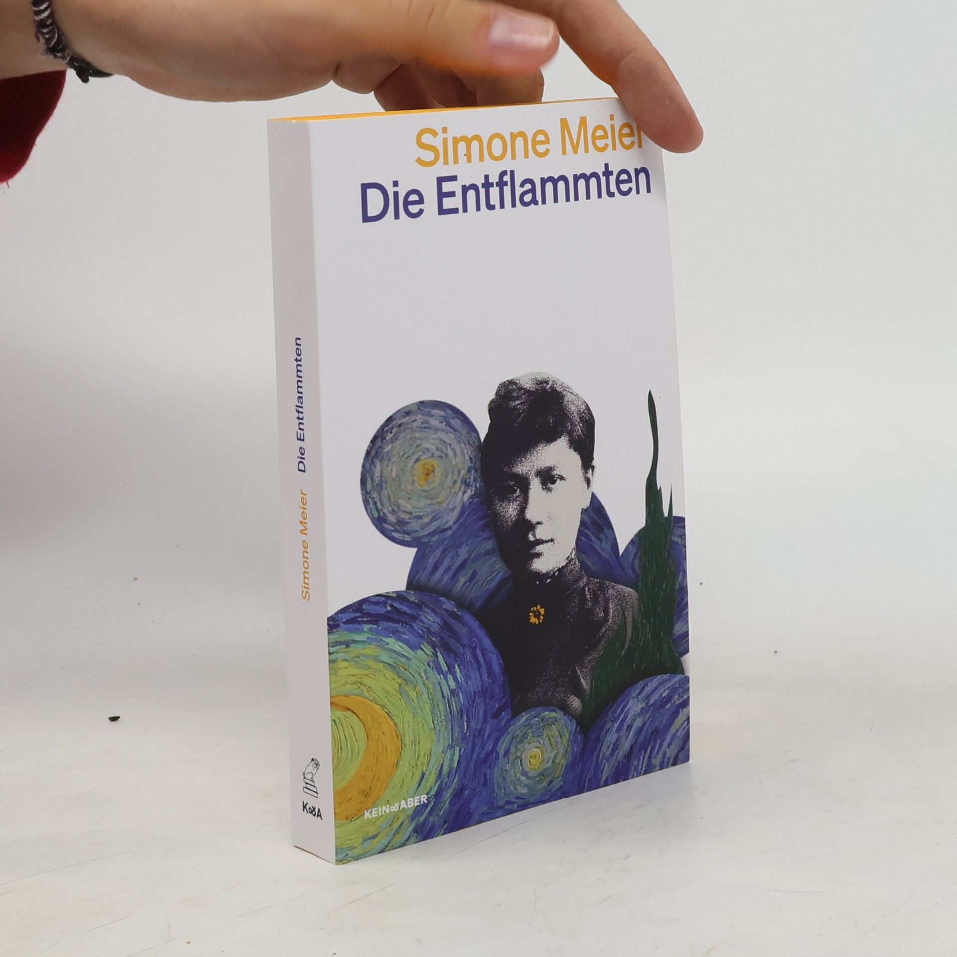Simone Meier Die Entflammten