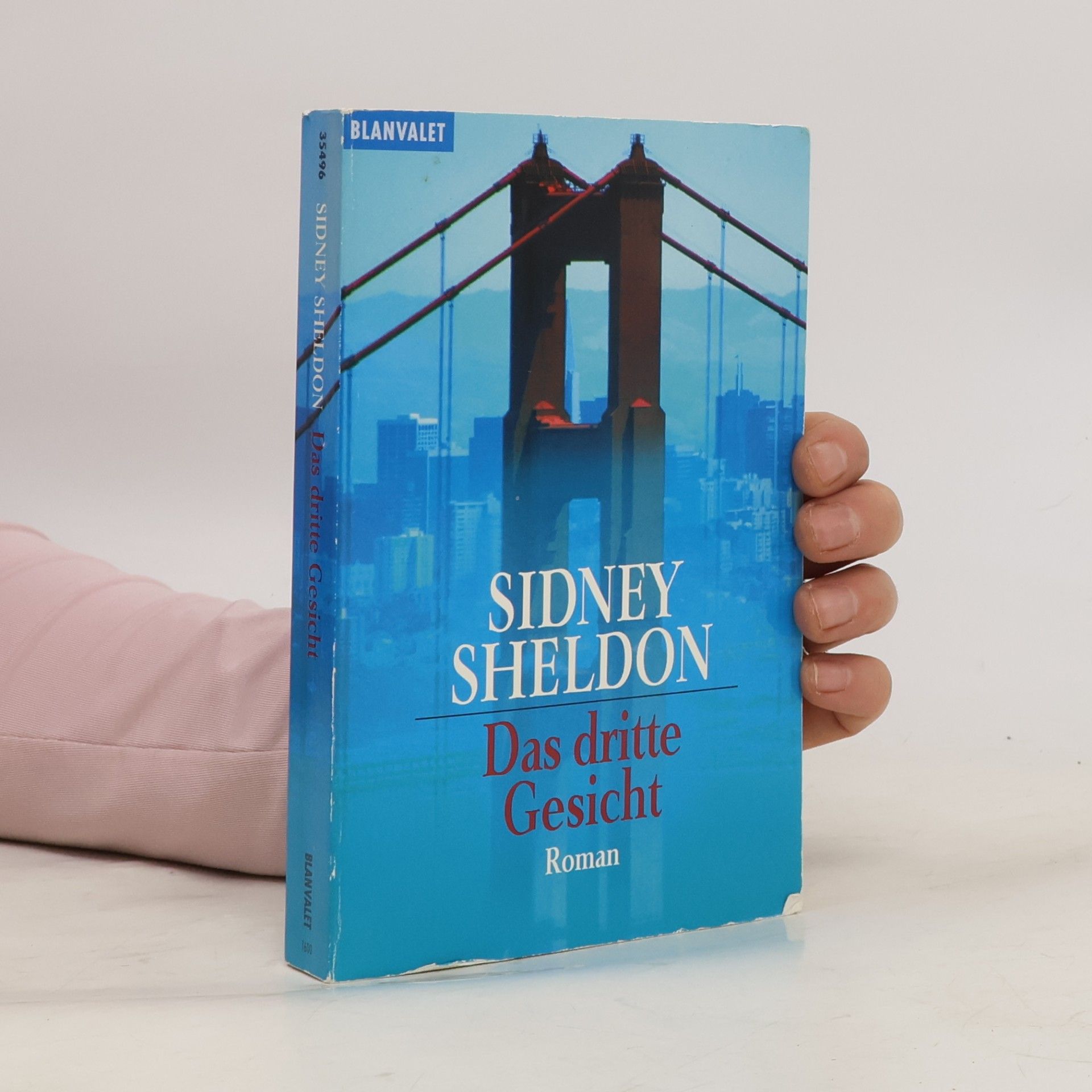 Sidney Sheldon Das dritte Gesicht