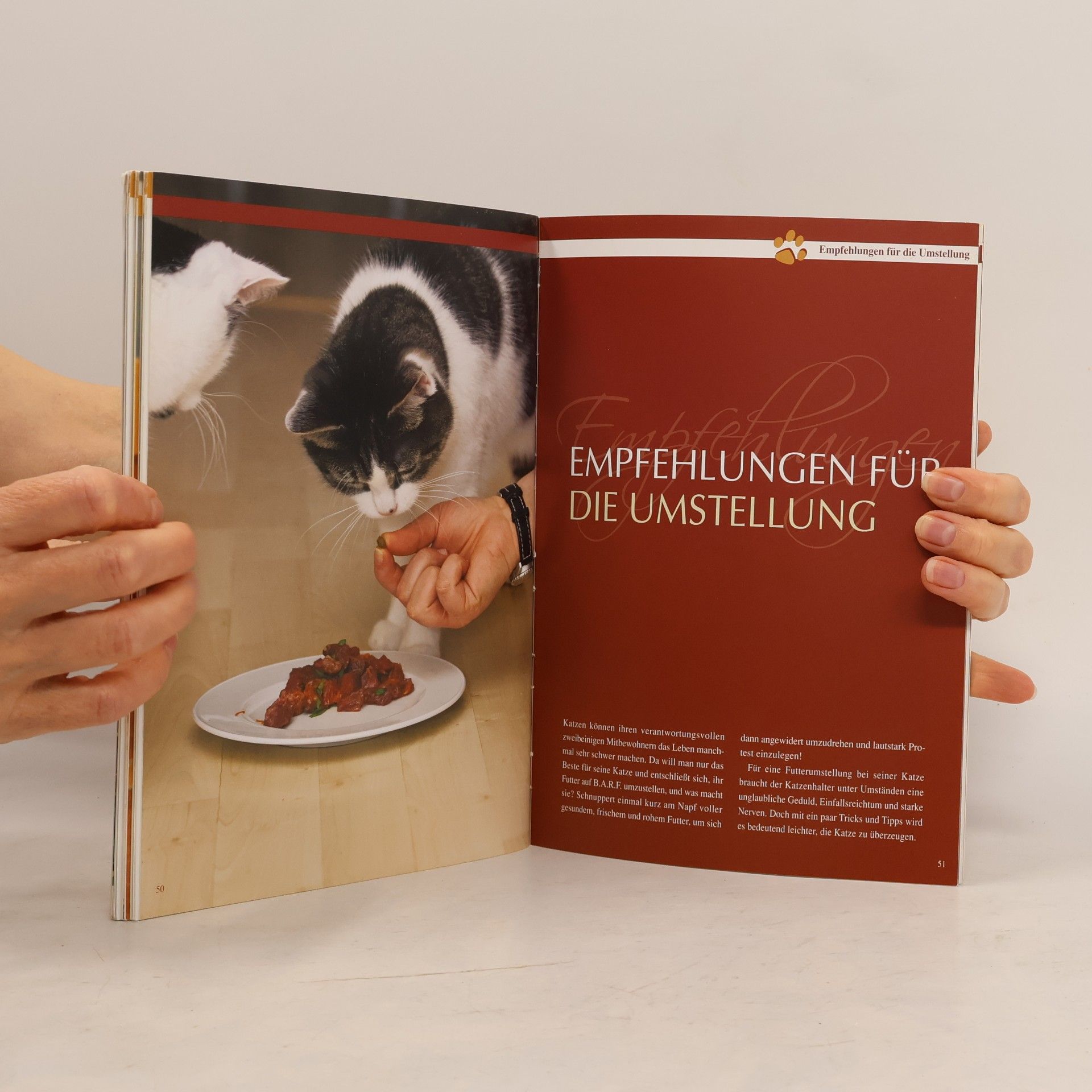 Nadine Leiendecker BARF für Katzen