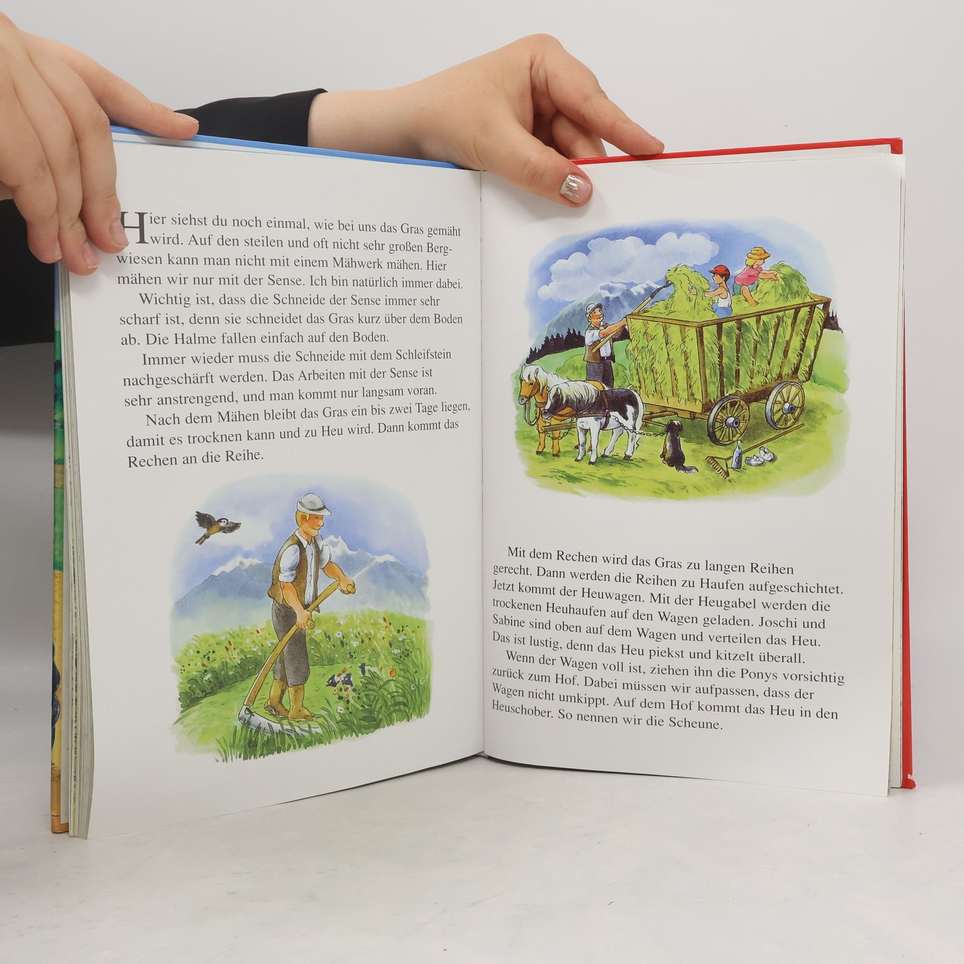 Ingrid Pabst Mein großes Buch vom Bauernhof