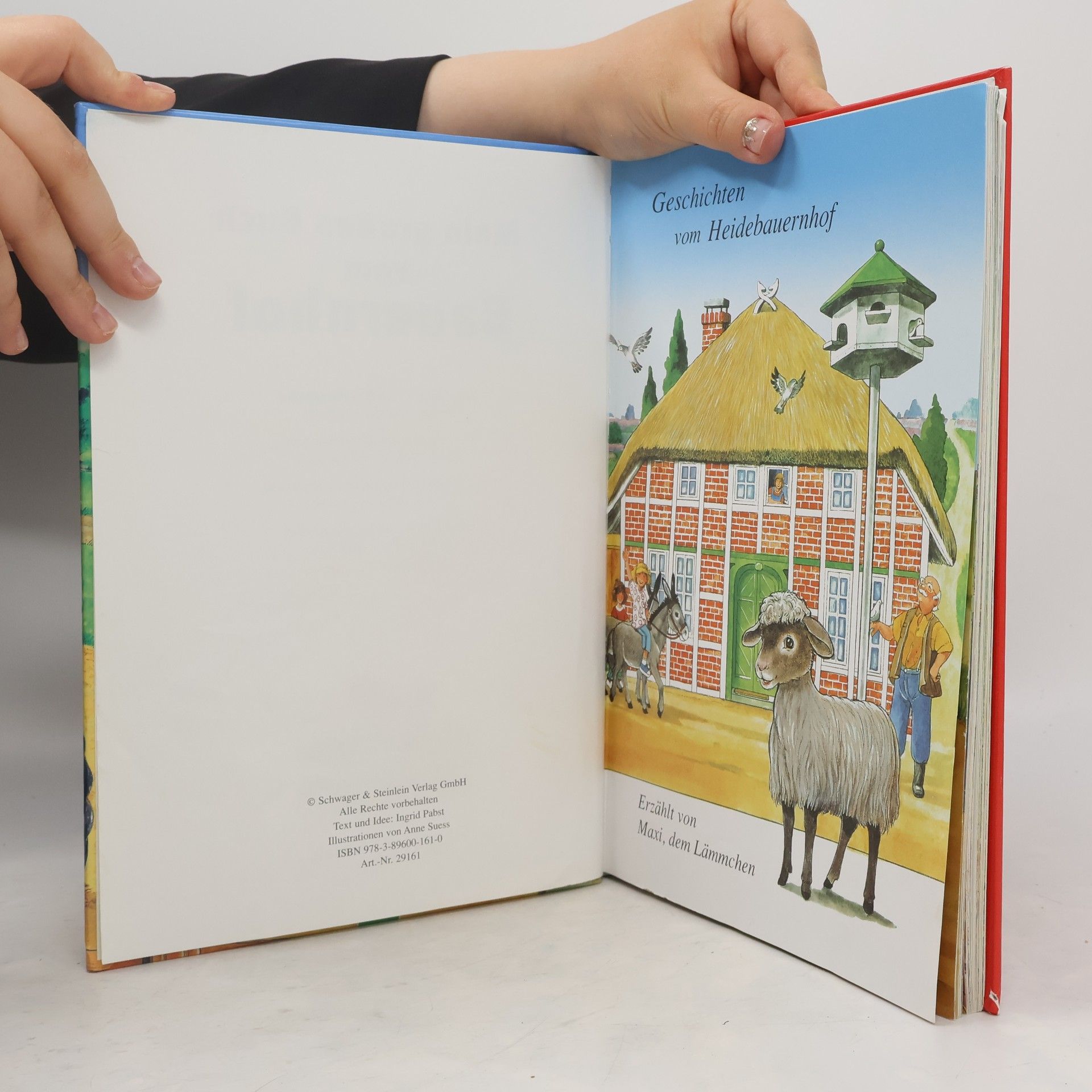 Ingrid Pabst Mein großes Buch vom Bauernhof