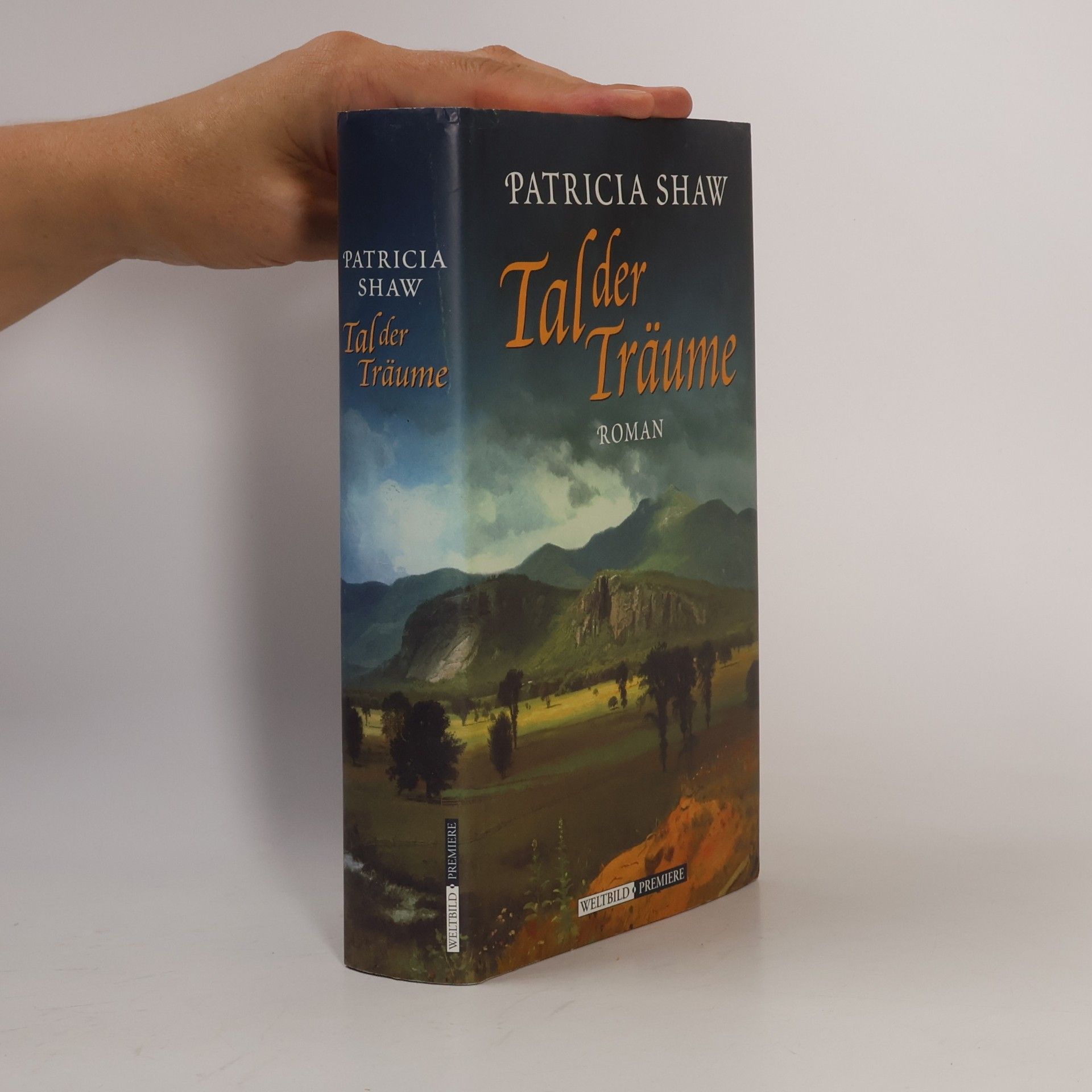 Patricia Shaw Tal der Träume