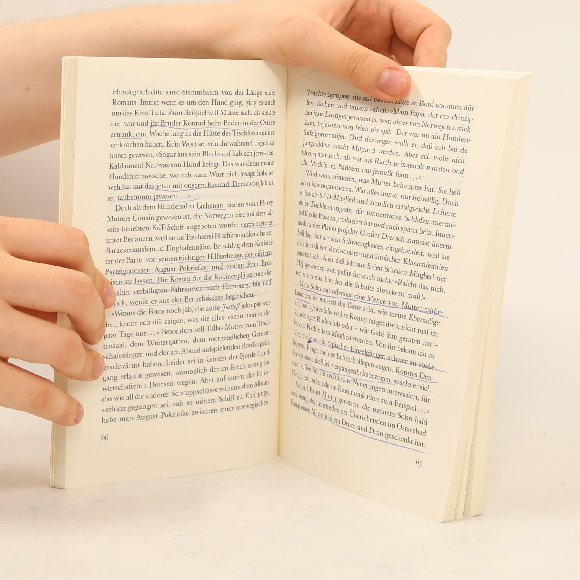 Günter Grass Im Krebsgang : eine Novelle