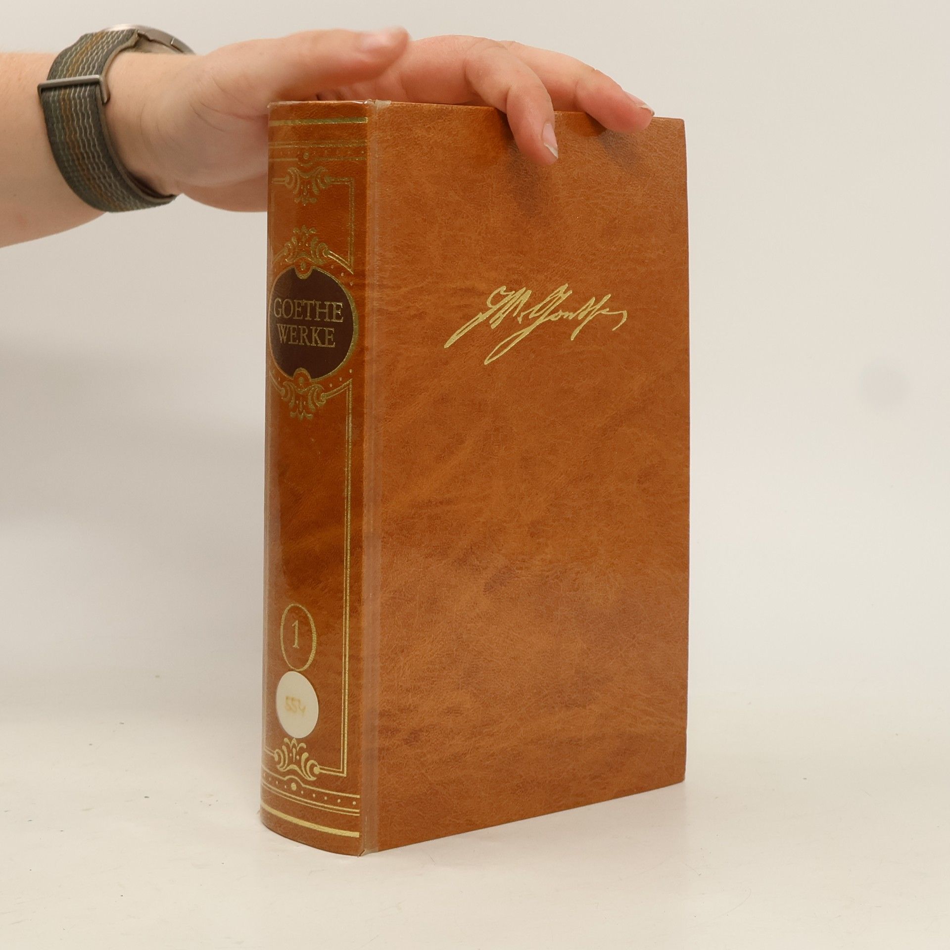 Johann Wolfgang von Goethe Goethe Werke 1