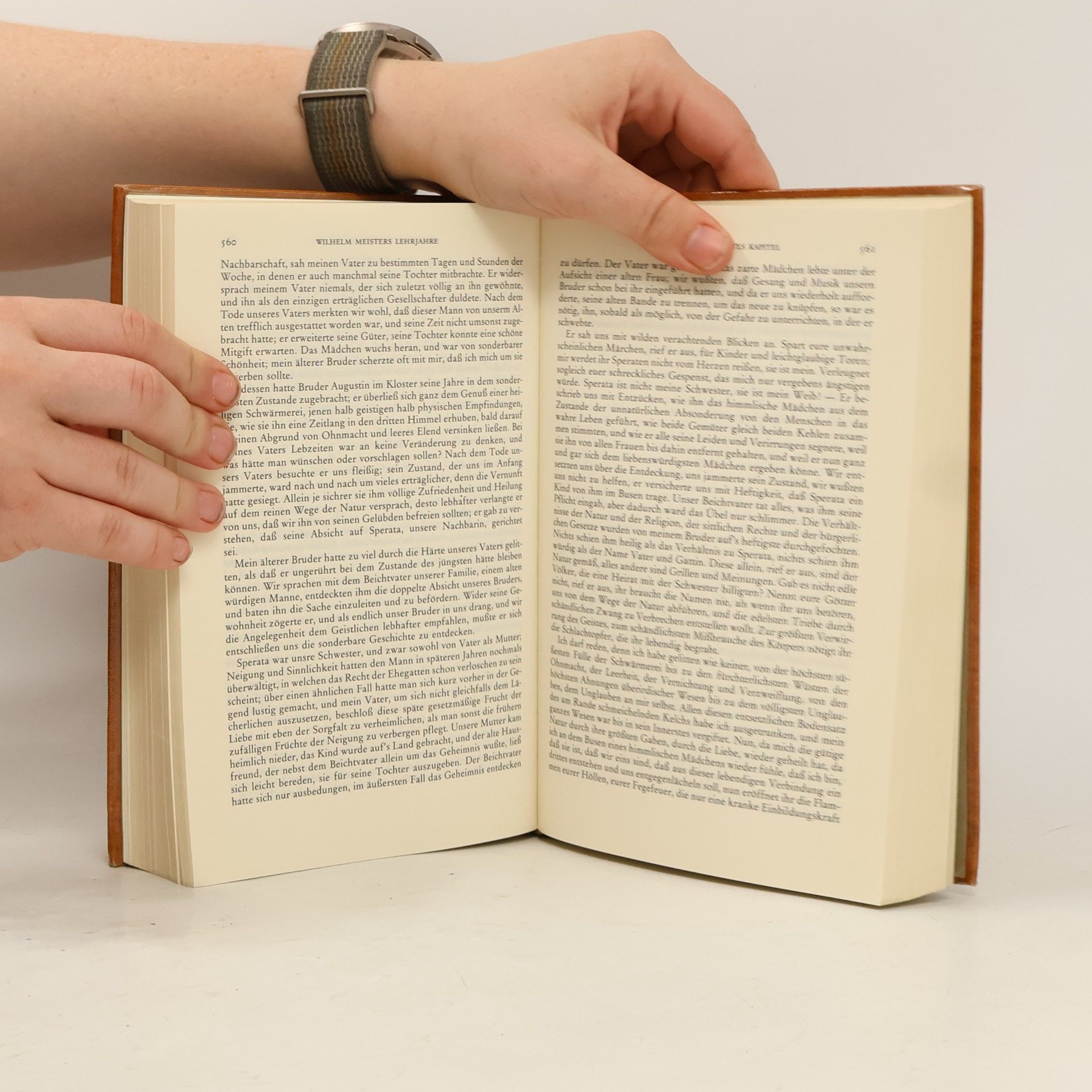 Johann Wolfgang von Goethe Goethe Werke 1