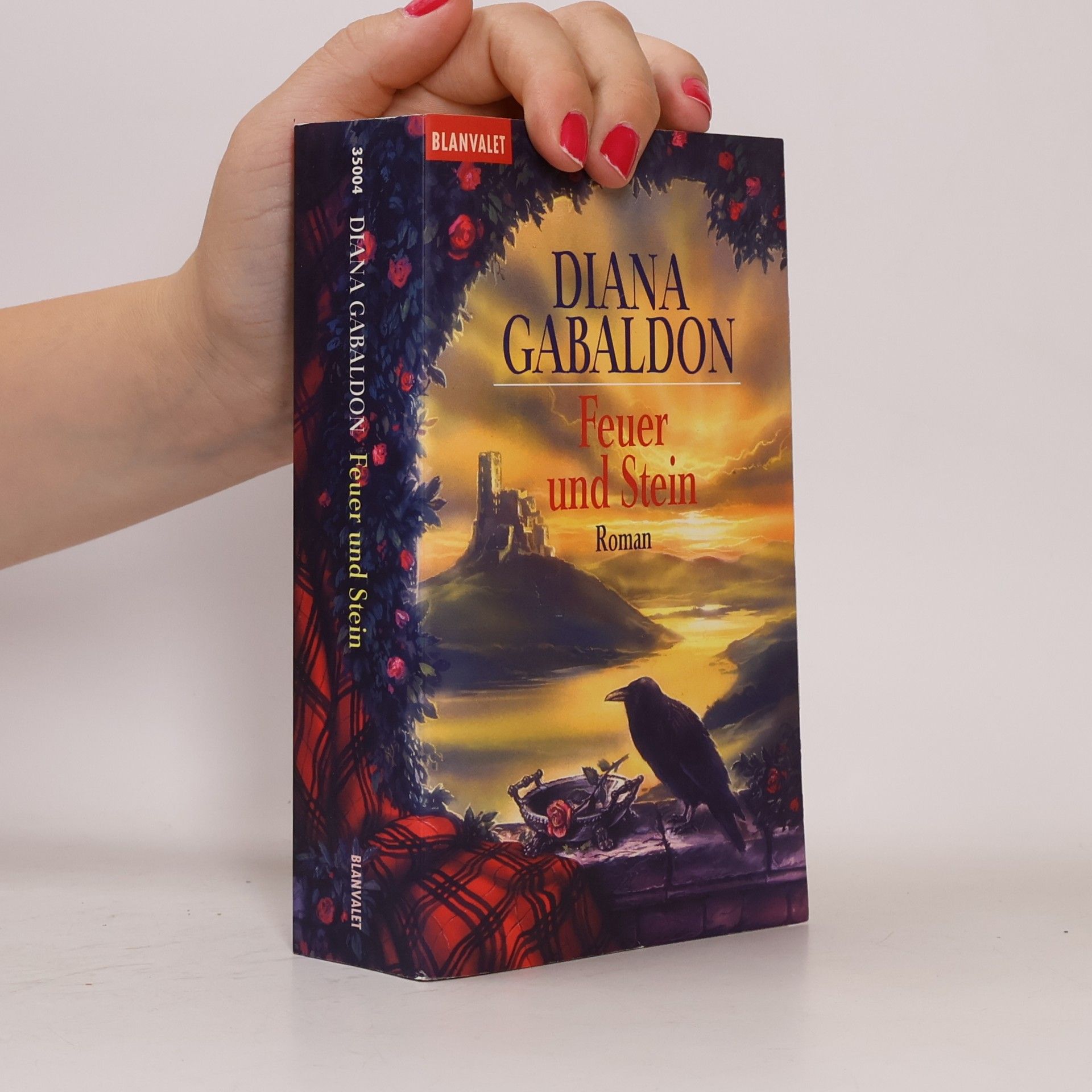 Diana Gabaldon Feuer und Stein