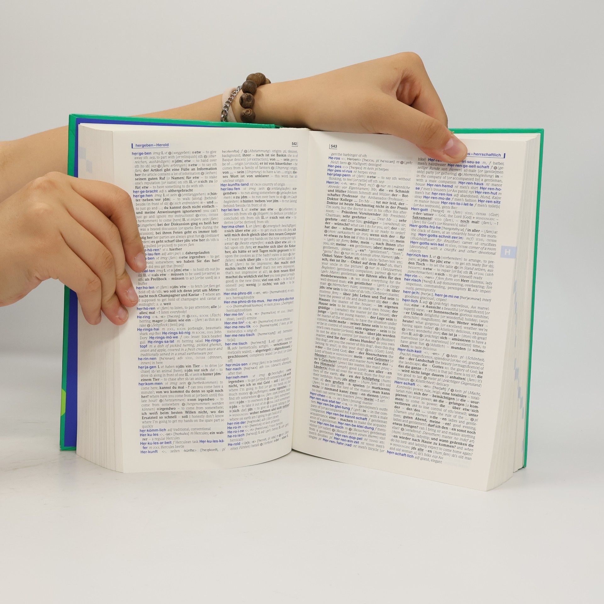 Marieluise Schmitz PONS Wörterbuch für Schule und Studium