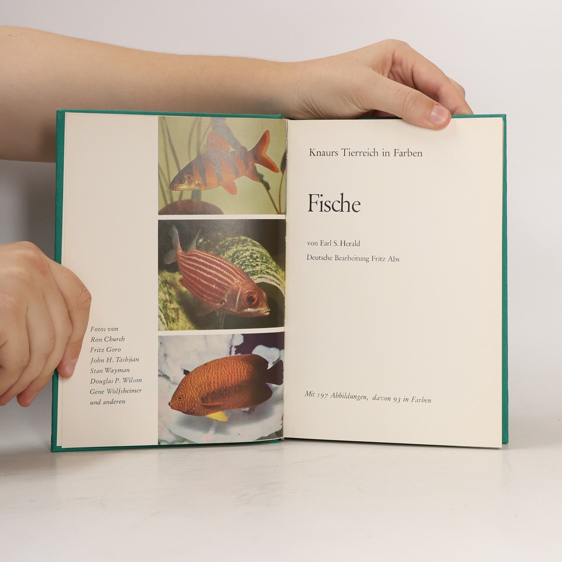 Autores varios Knaurs Tierreich in Farben. Fische