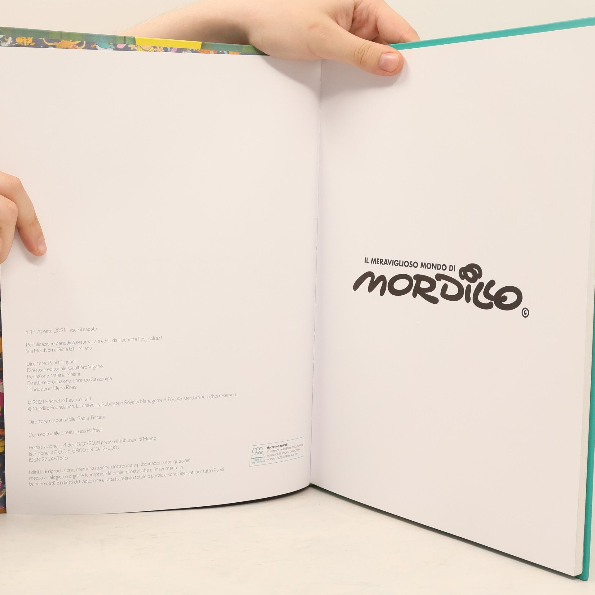 Autorenkollektiv Il meraviglioso mondo di Mordillo 1