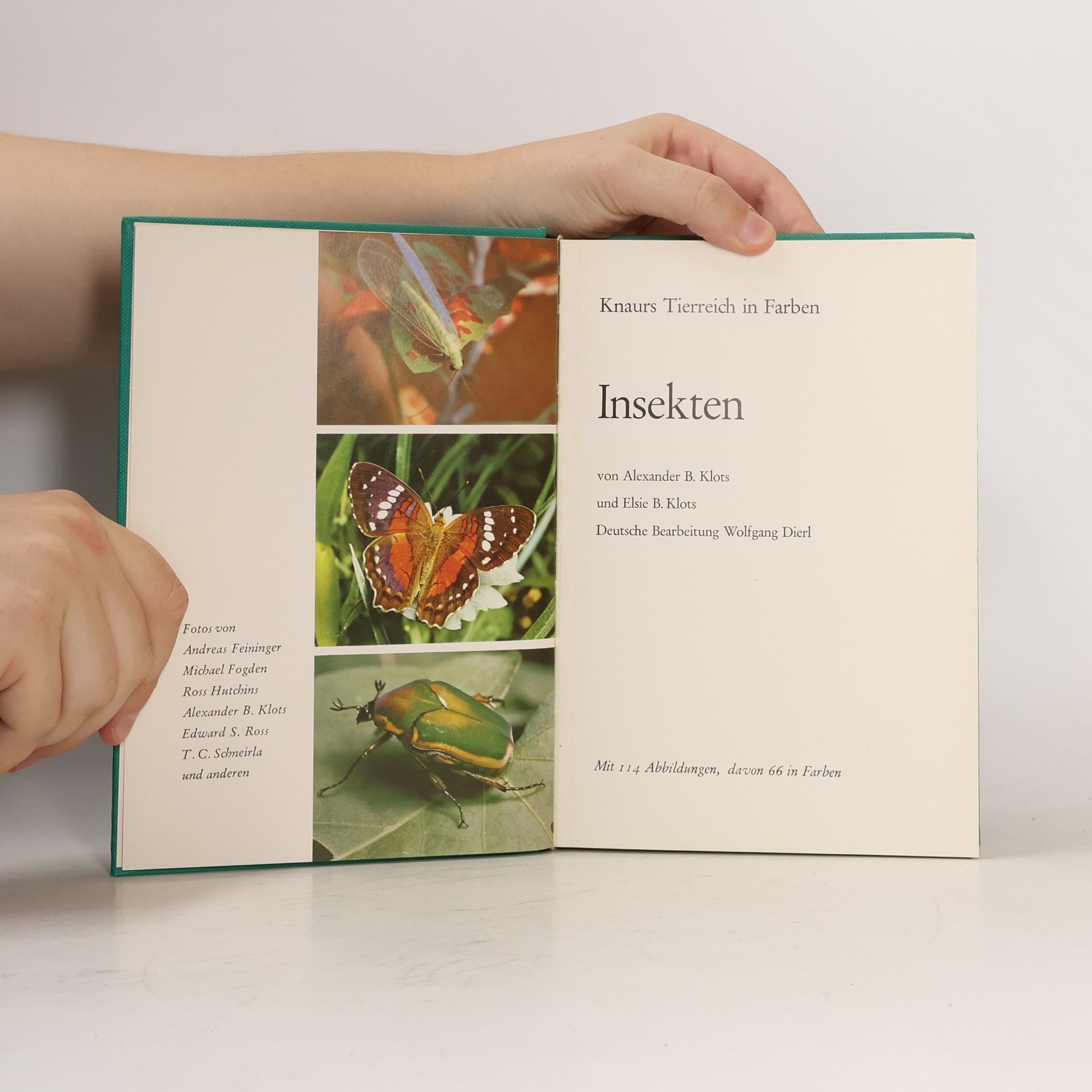 Alexander B. Klots Knaurs Tierreich in Farben. Insekten