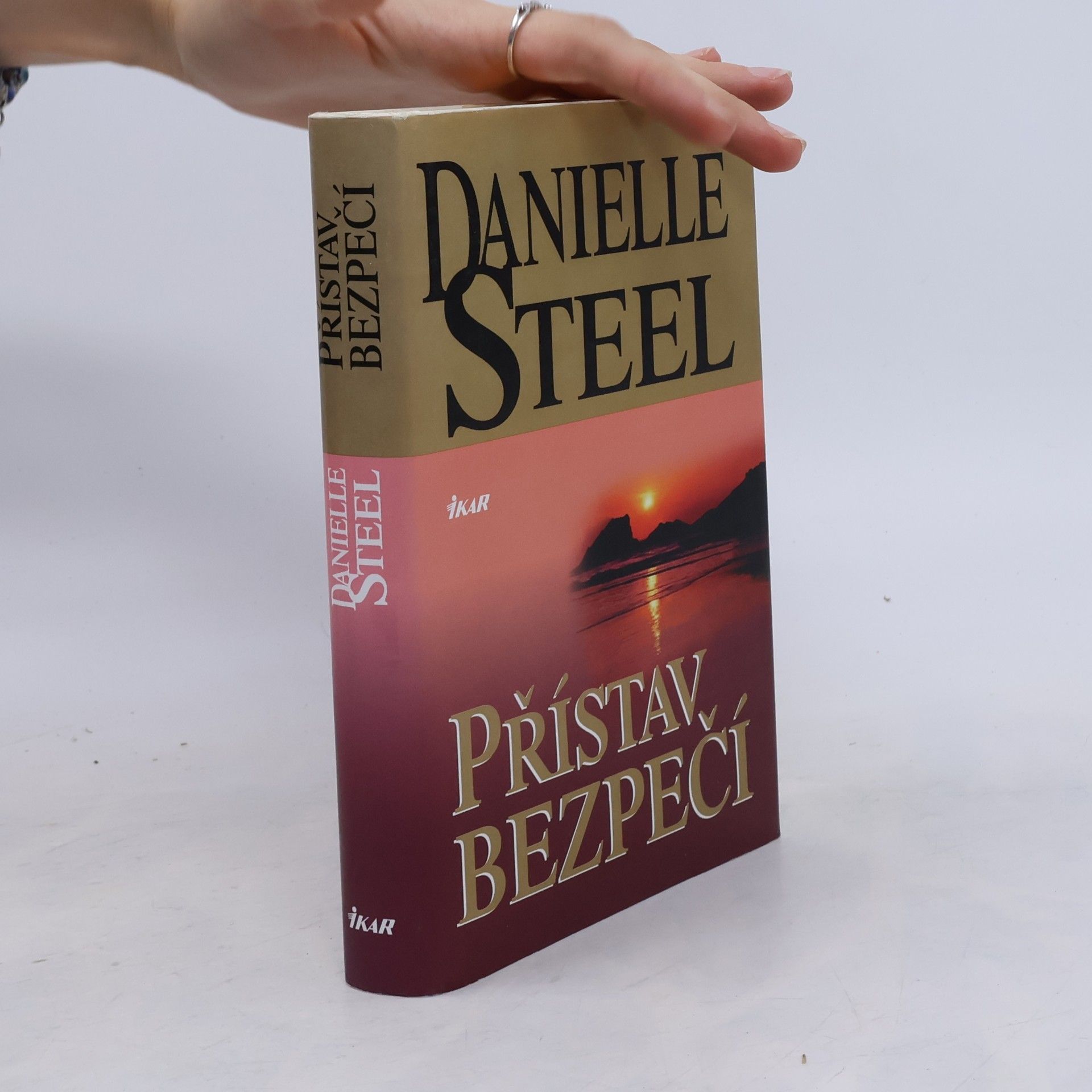Danielle Steelová Přístav bezpečí