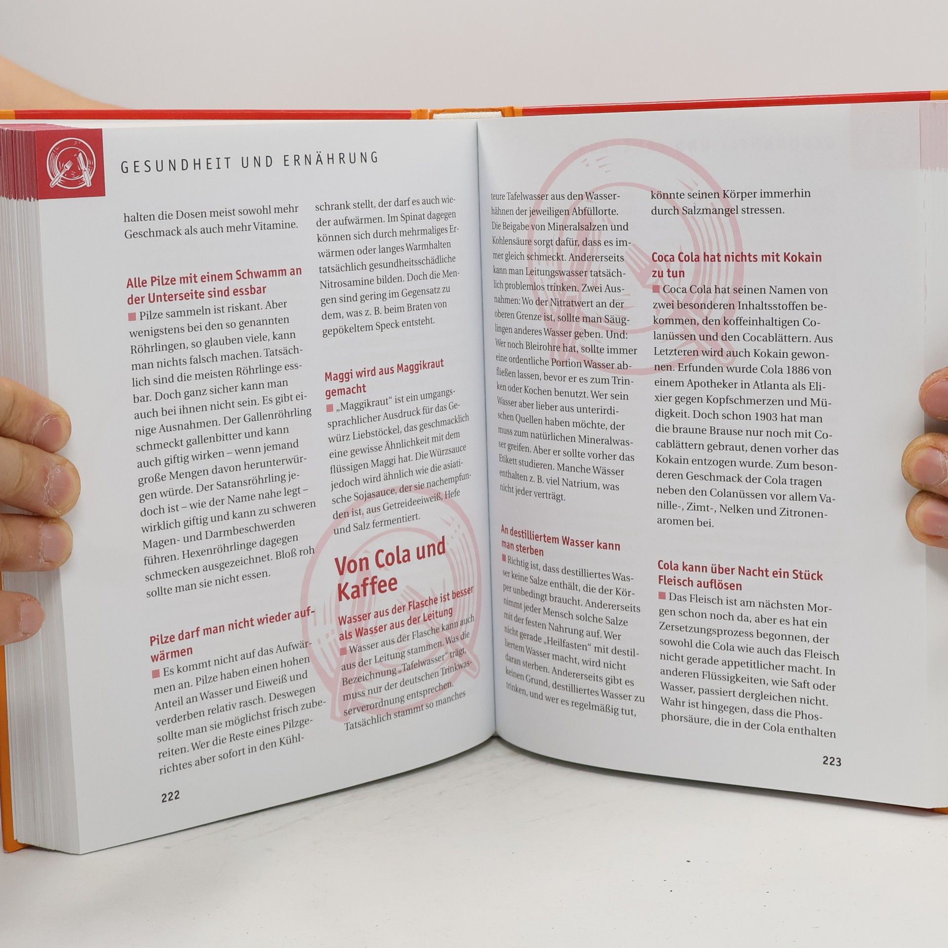 Autorenkollektiv 1000 Irrtümer der Allgemeinbildung