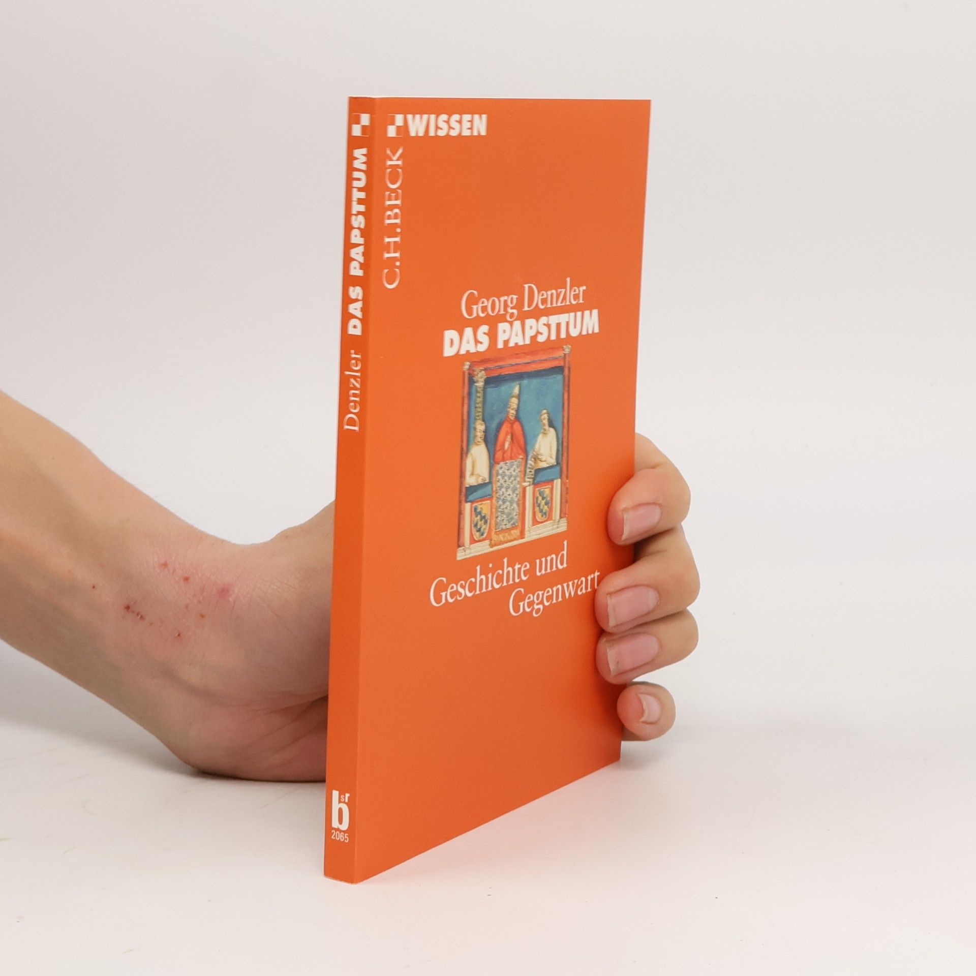 C.H.Beck Wissen - 2065: Das Papsttum