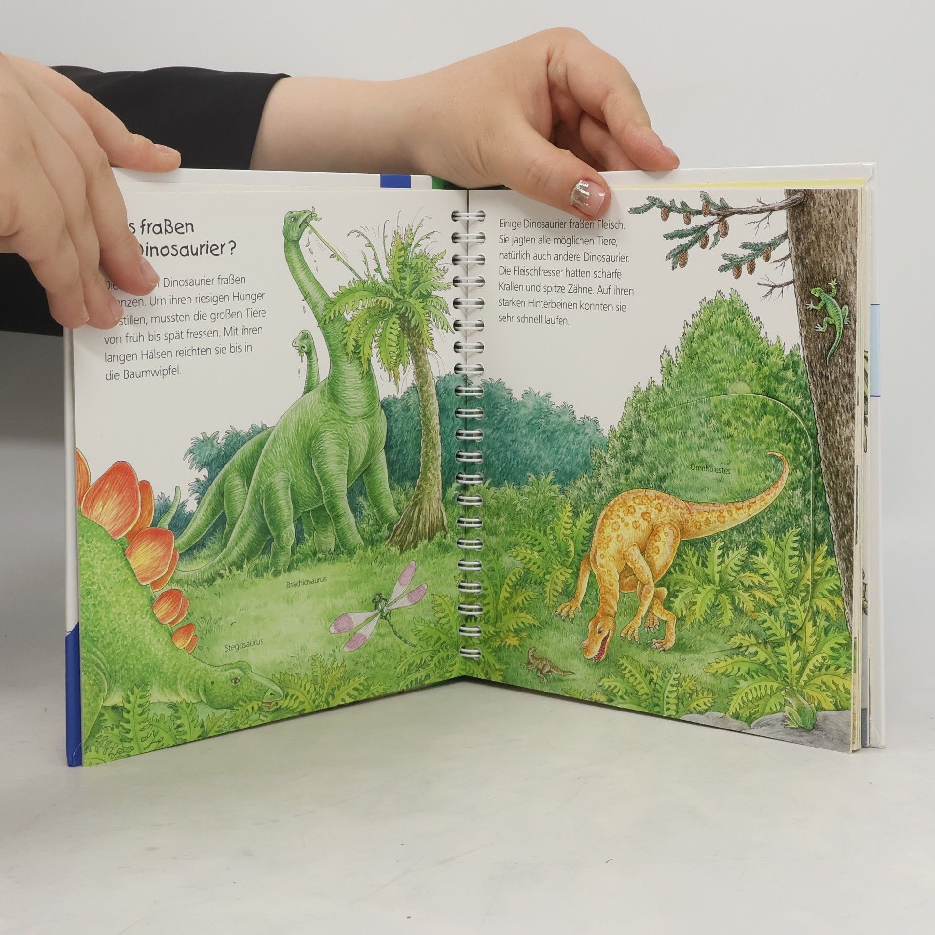 Angela Weinhold Die Dinosaurier