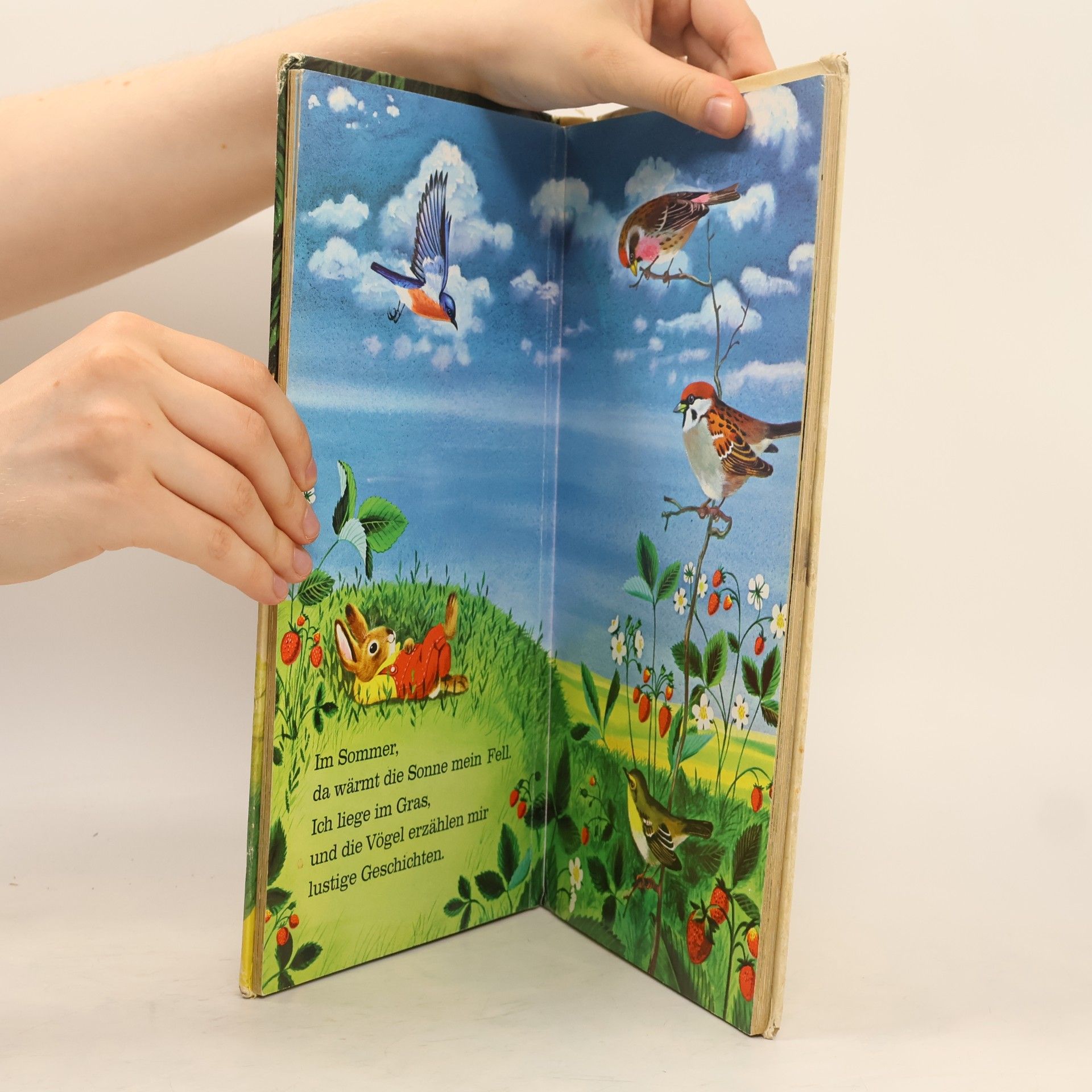Richard Scarry Ich bin der kleine Hase