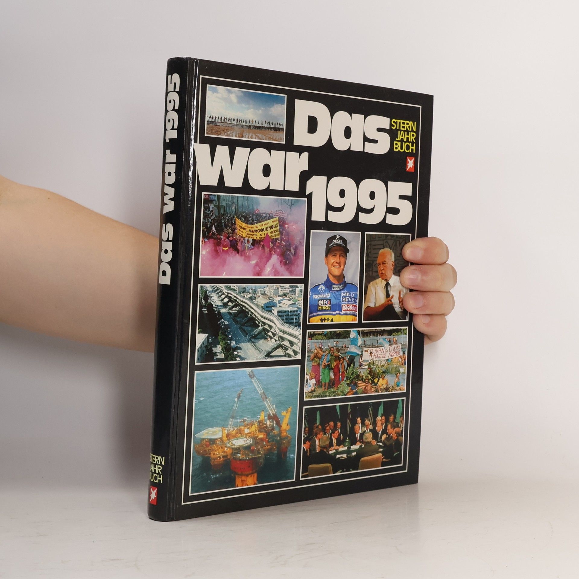 kolektiv Das war 1995, Stern - Jahrbuch