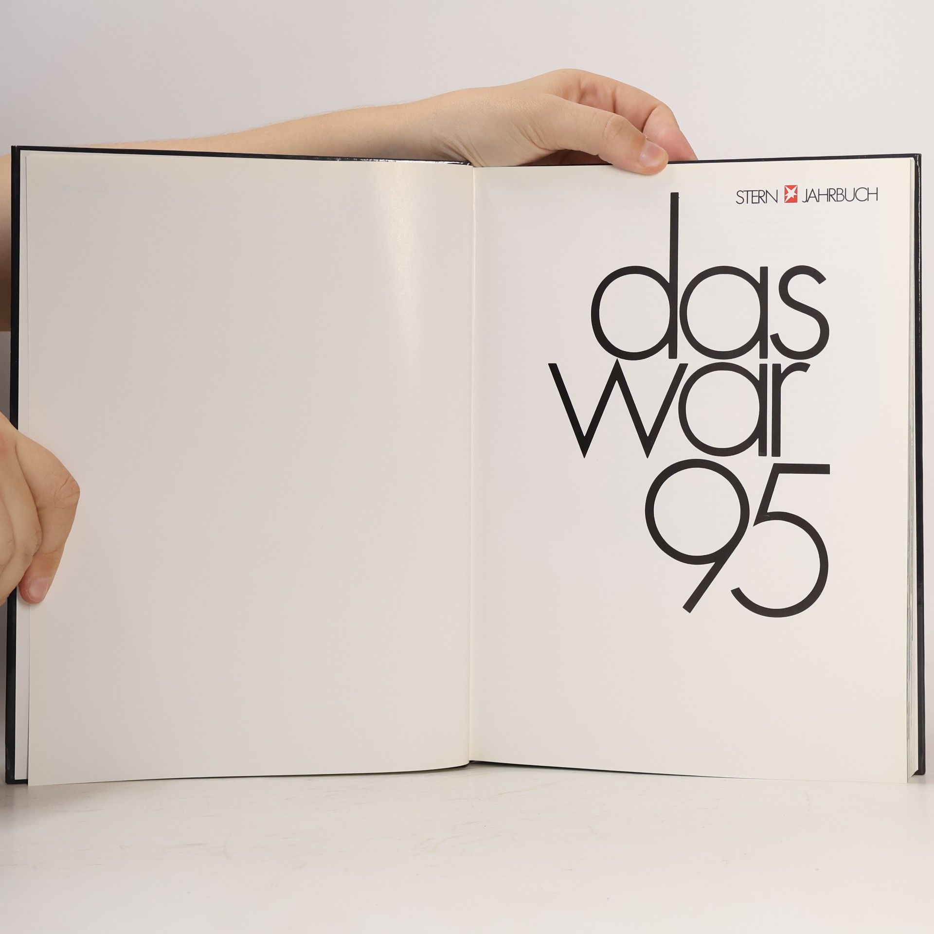 kolektiv Das war 1995, Stern - Jahrbuch