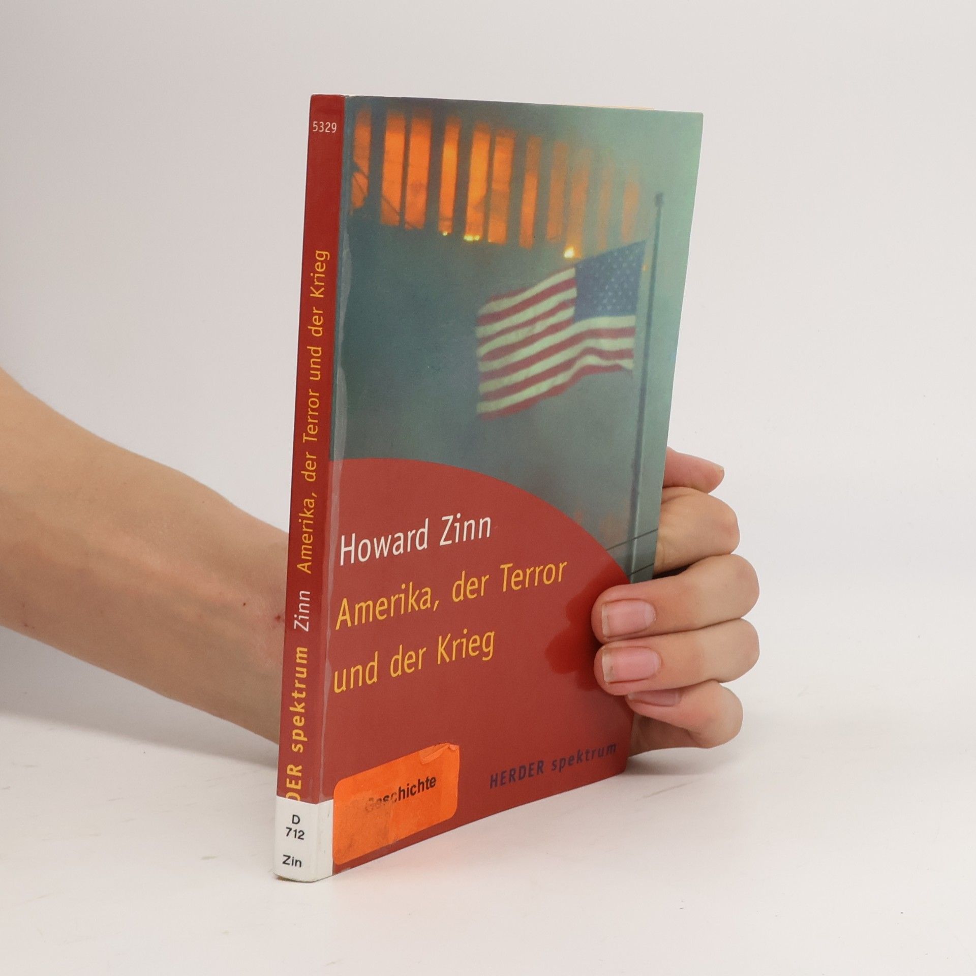 Amerika, der Terror und der Krieg