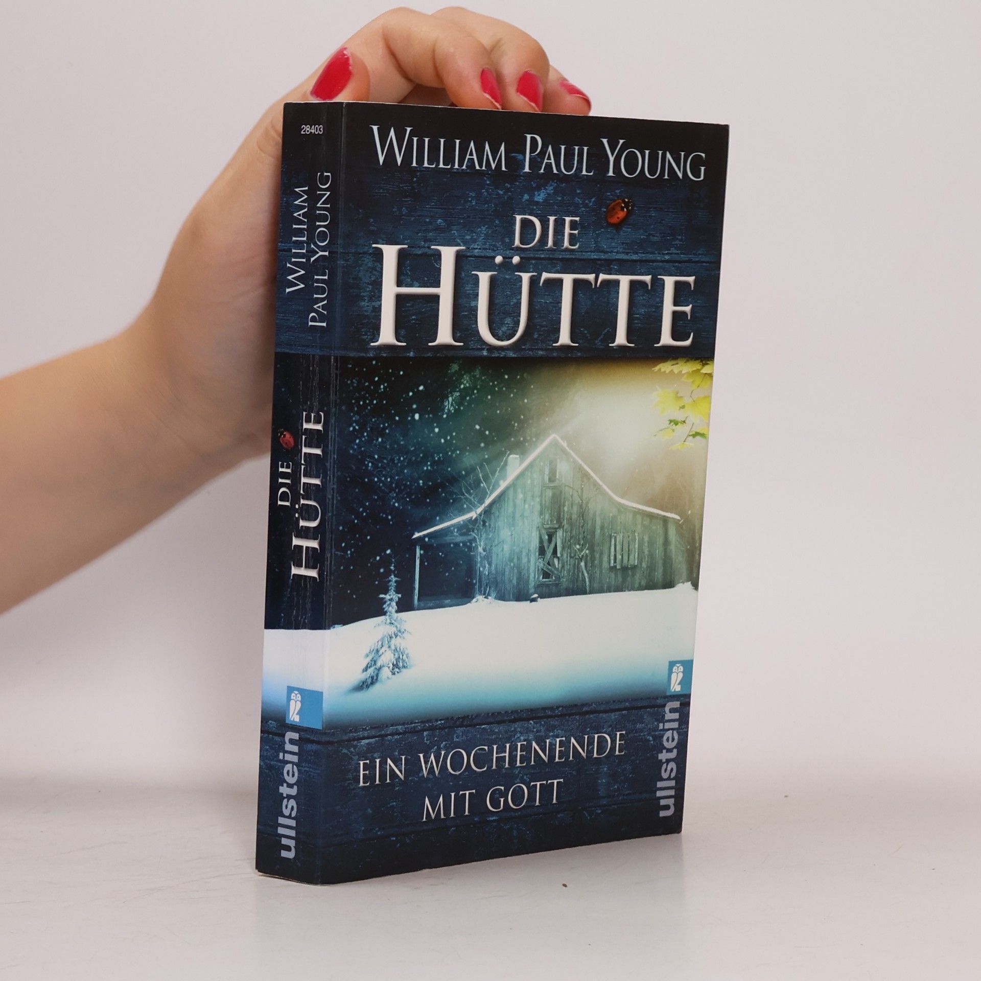 William P. Young Die Hütte