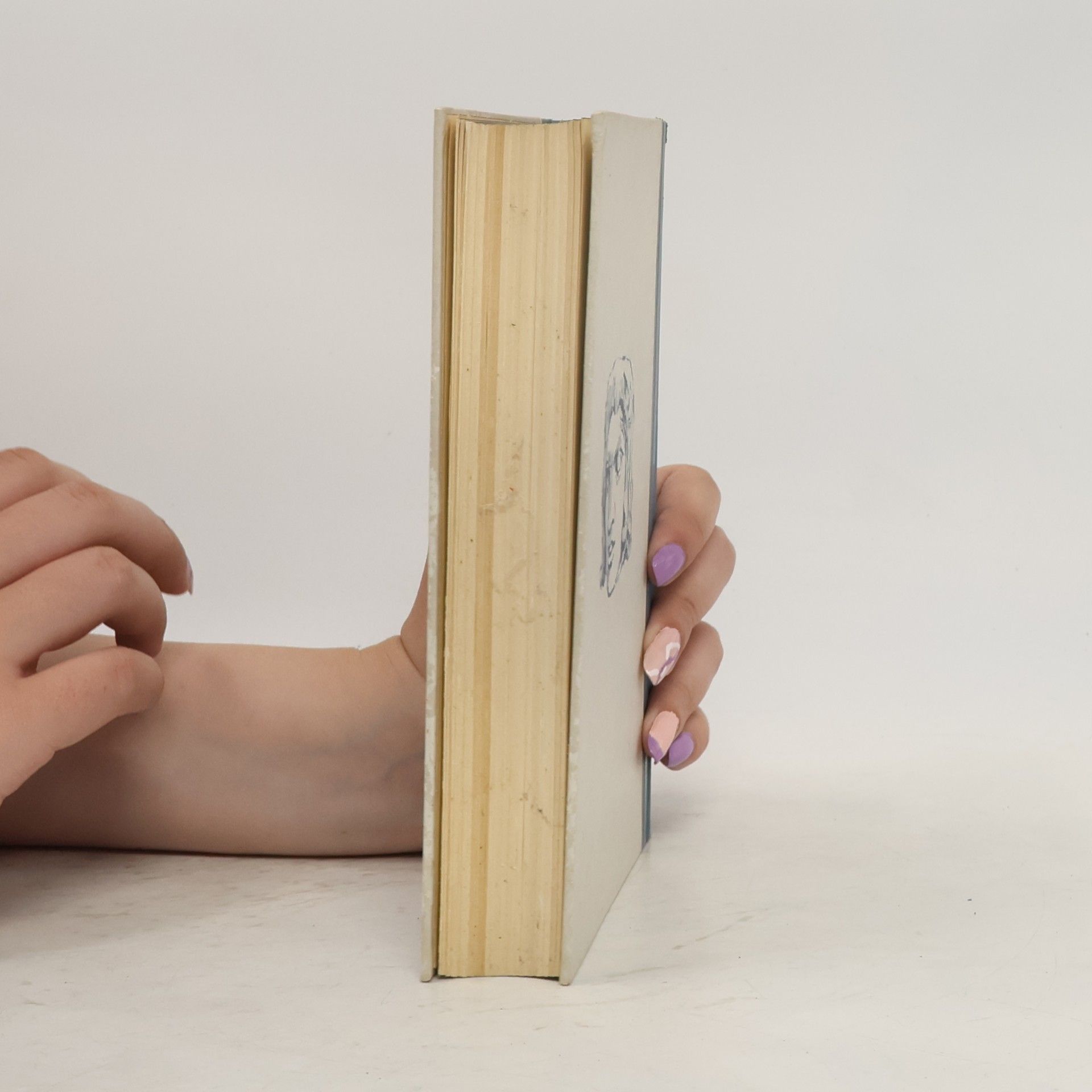 Axel Munthe Das Buch von San Michele