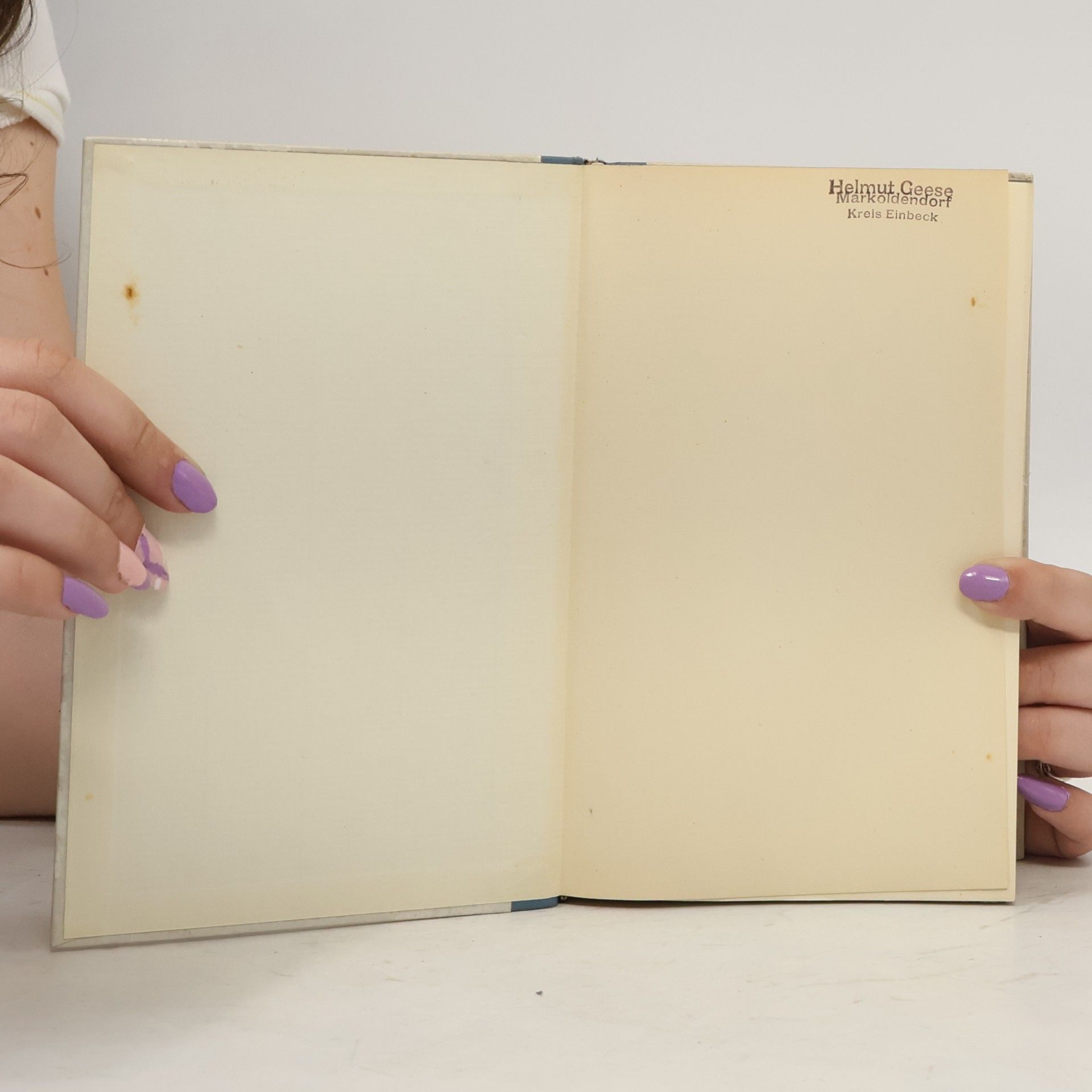 Axel Munthe Das Buch von San Michele