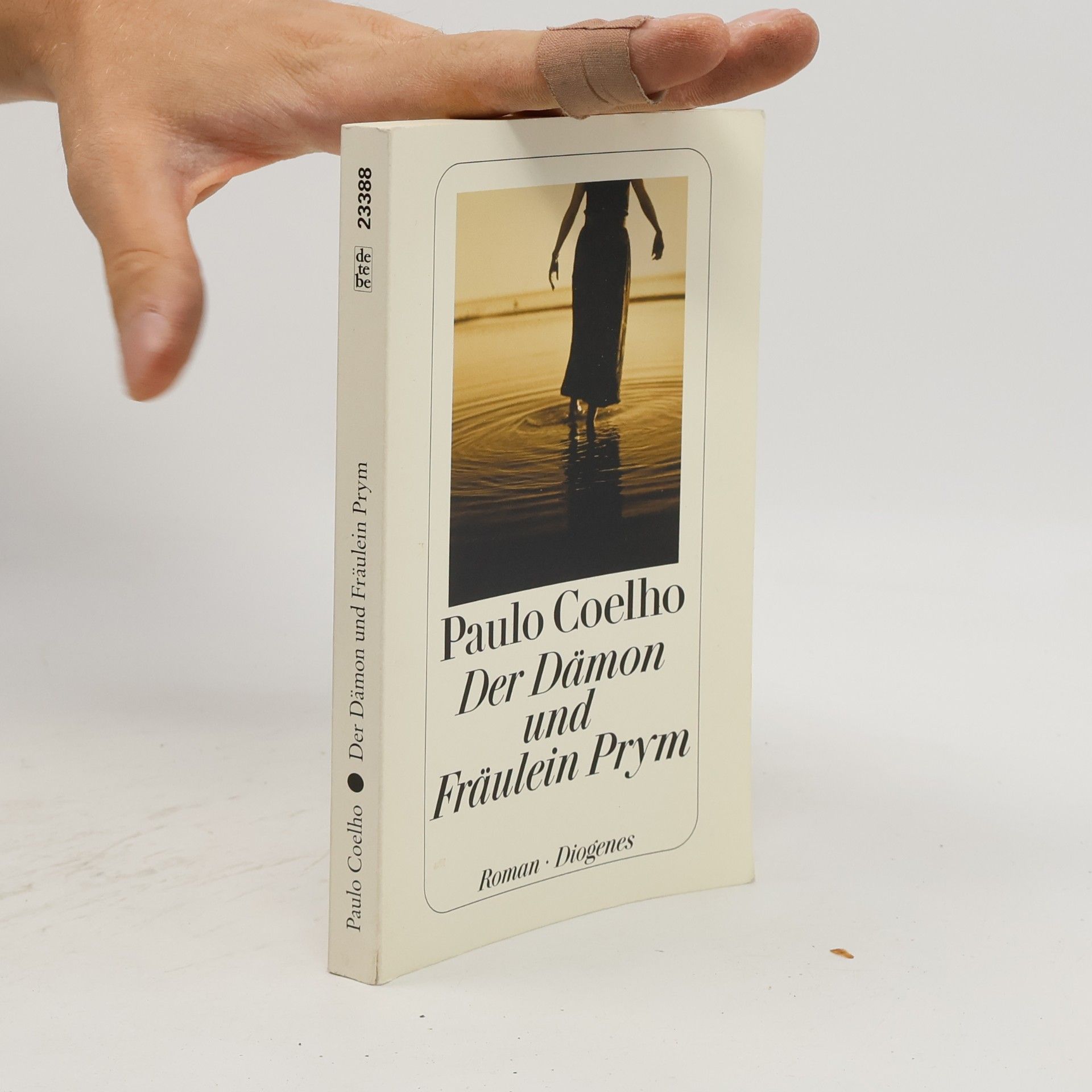 Paulo Coelho Der Dämon und Fräulein Prym