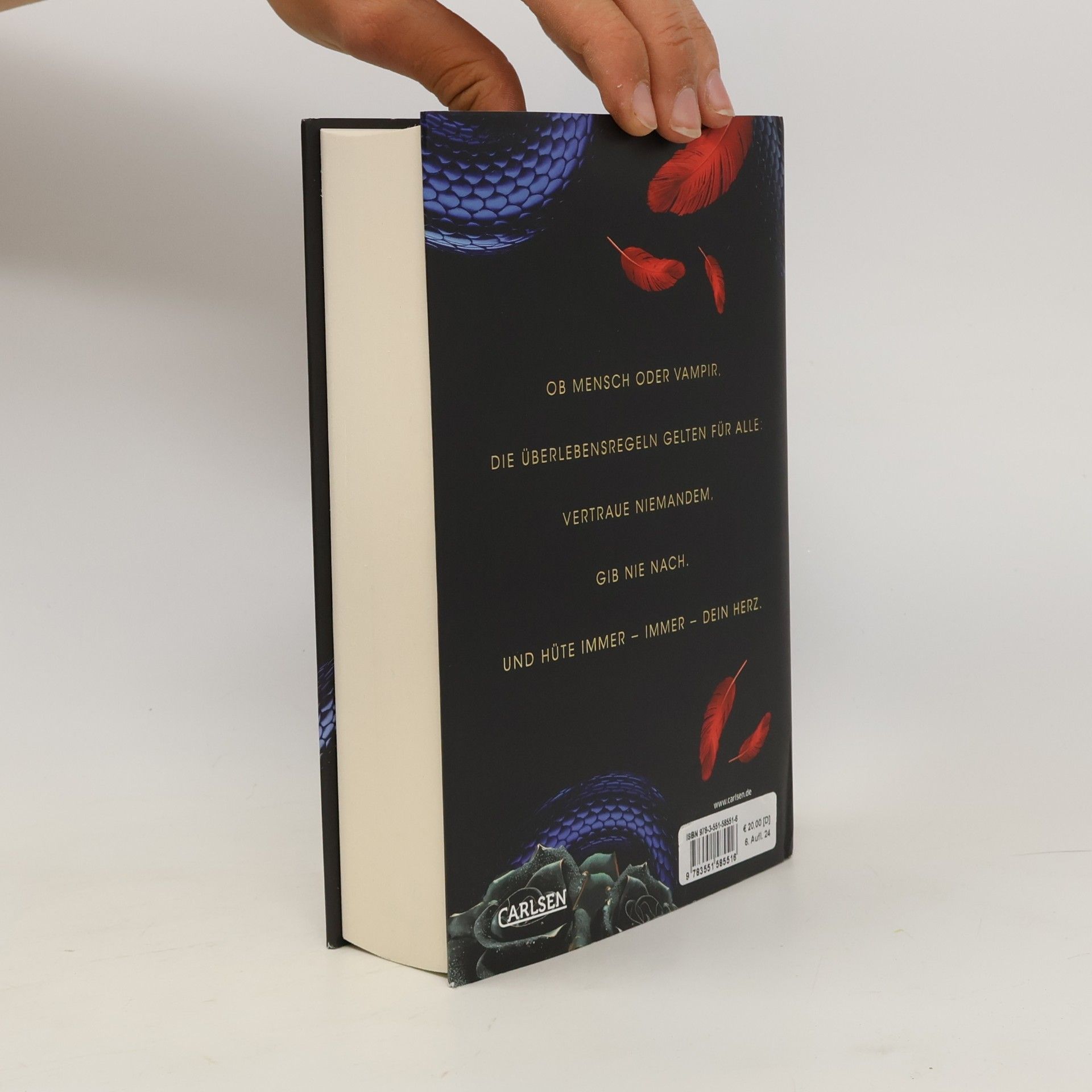 Carissa Broadbent The Serpent and The Wings of Night