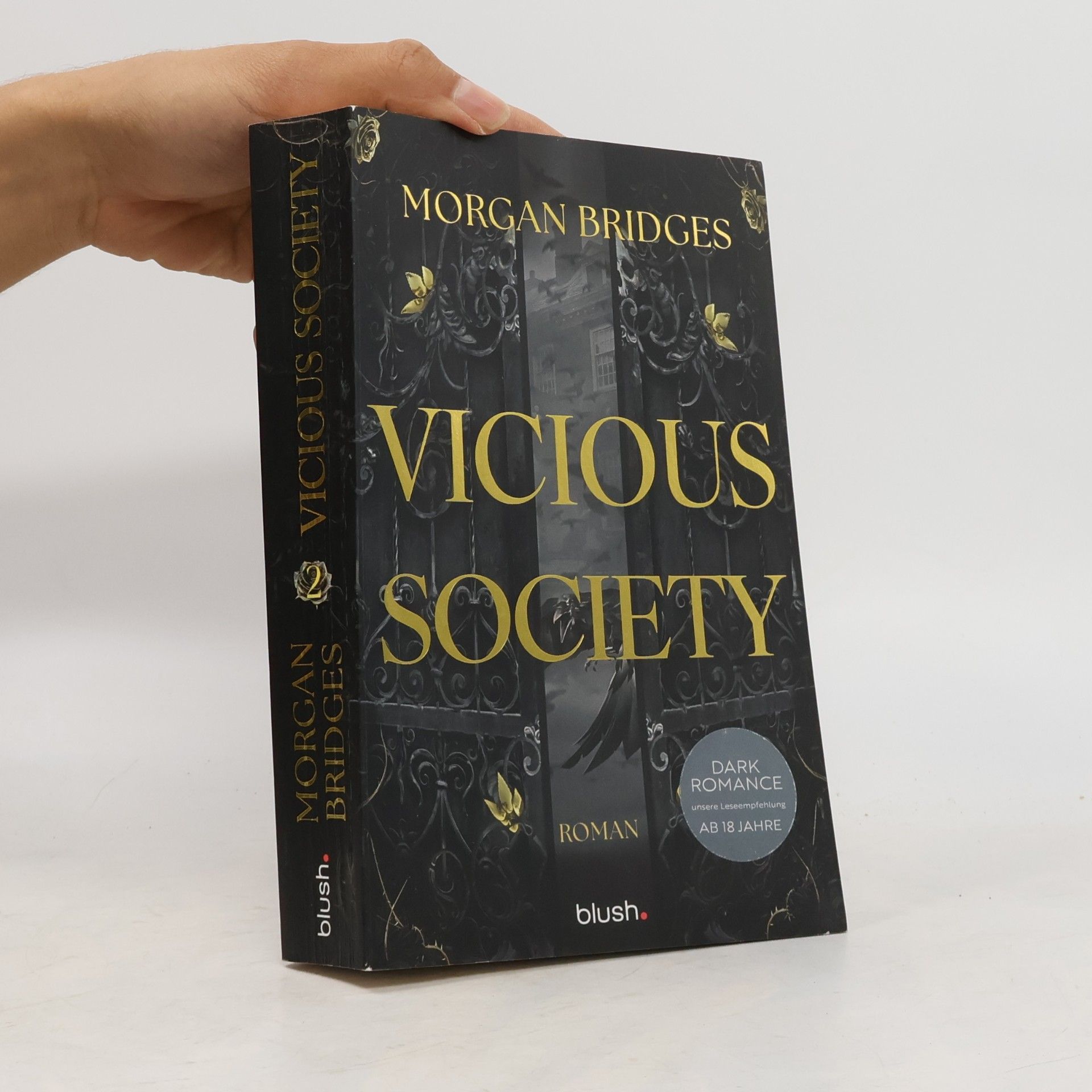 Obsidian Order - 2: Vicious Society