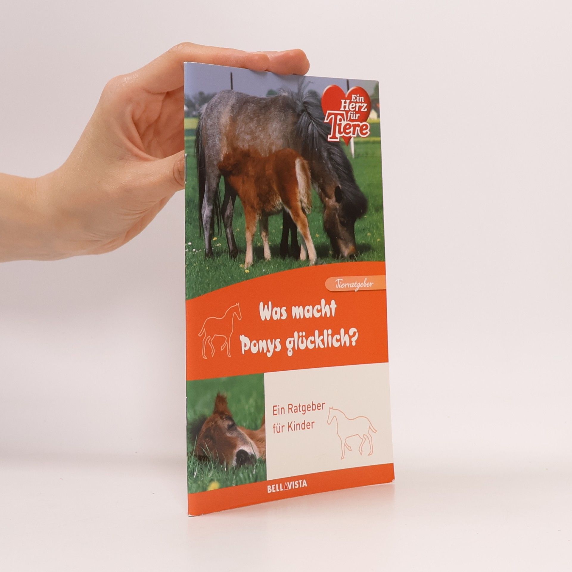 Was macht Ponys glücklich?