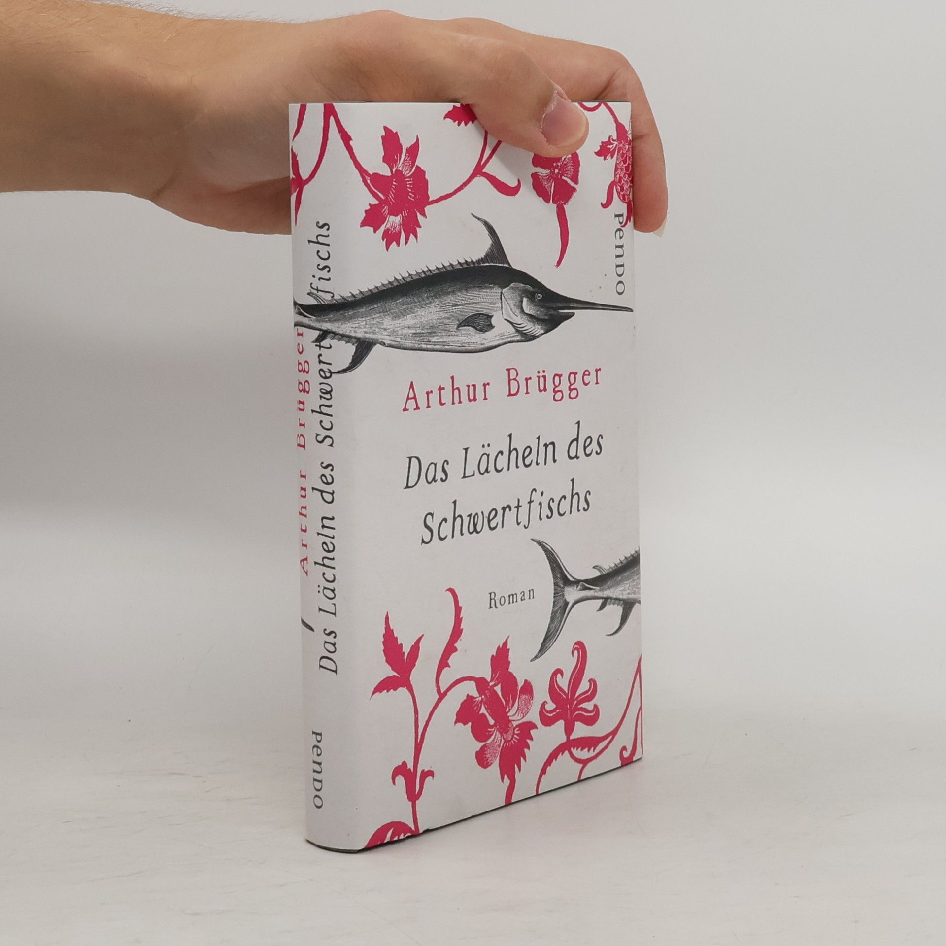 Arthur Brügger Das Lächeln des Schwertfischs