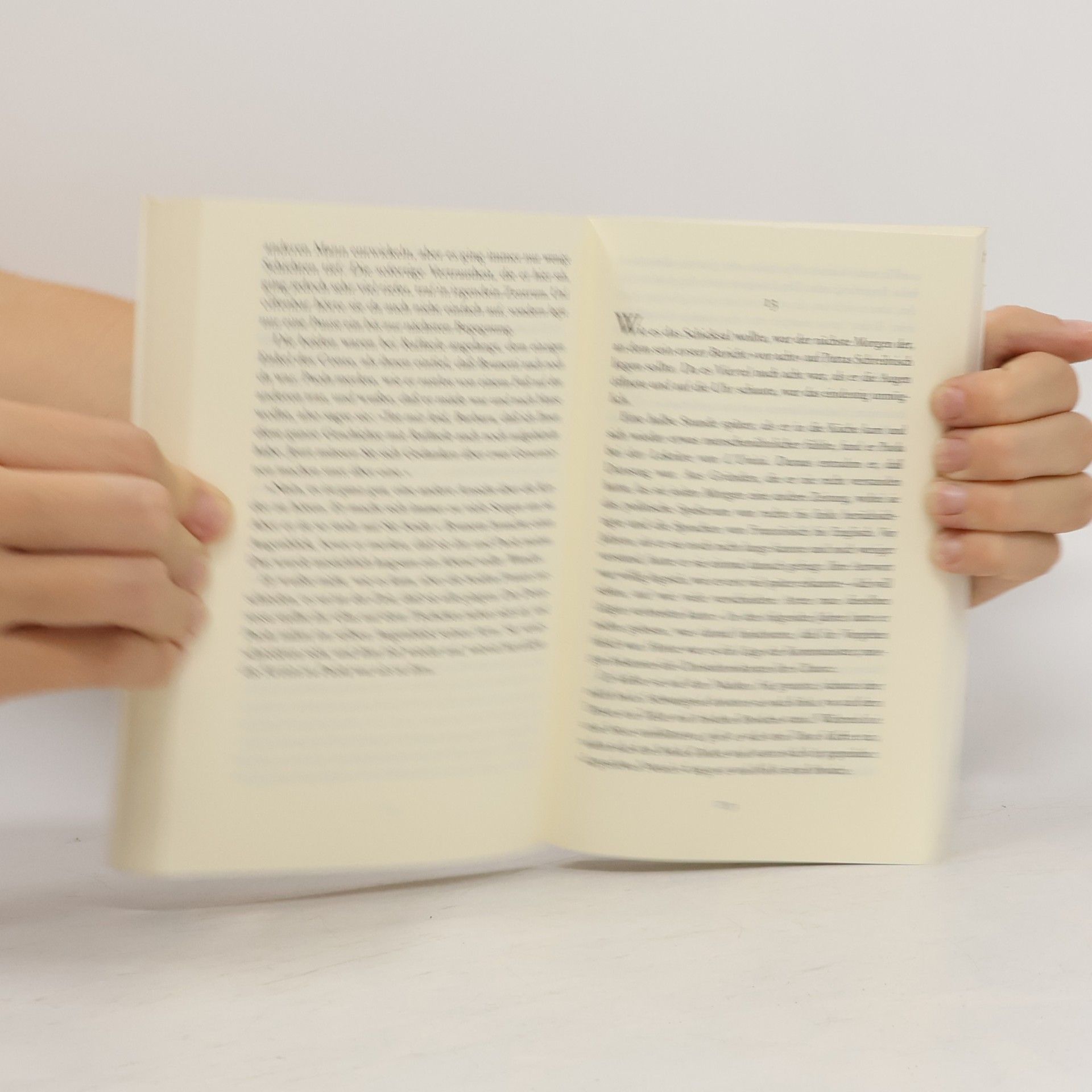 Donna Leon Venezianisches Finale