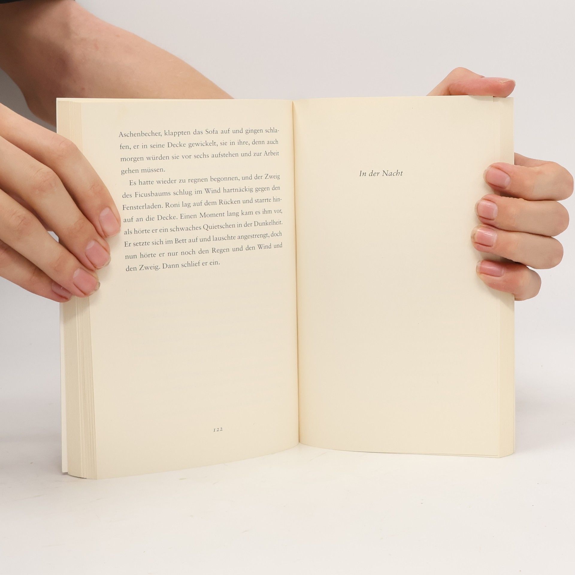 Amos Oz Unter Freunden