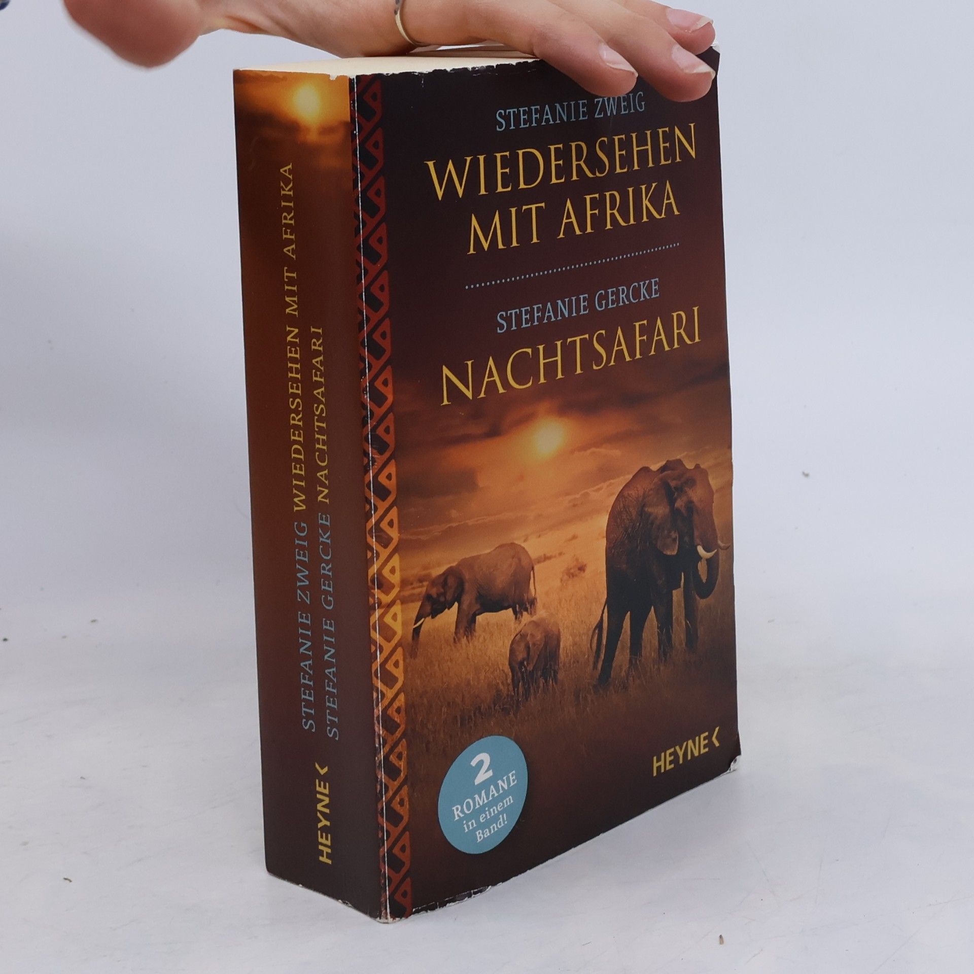 Stefanie Gercke Wiedersehen mit Afrika. Nachtsafari