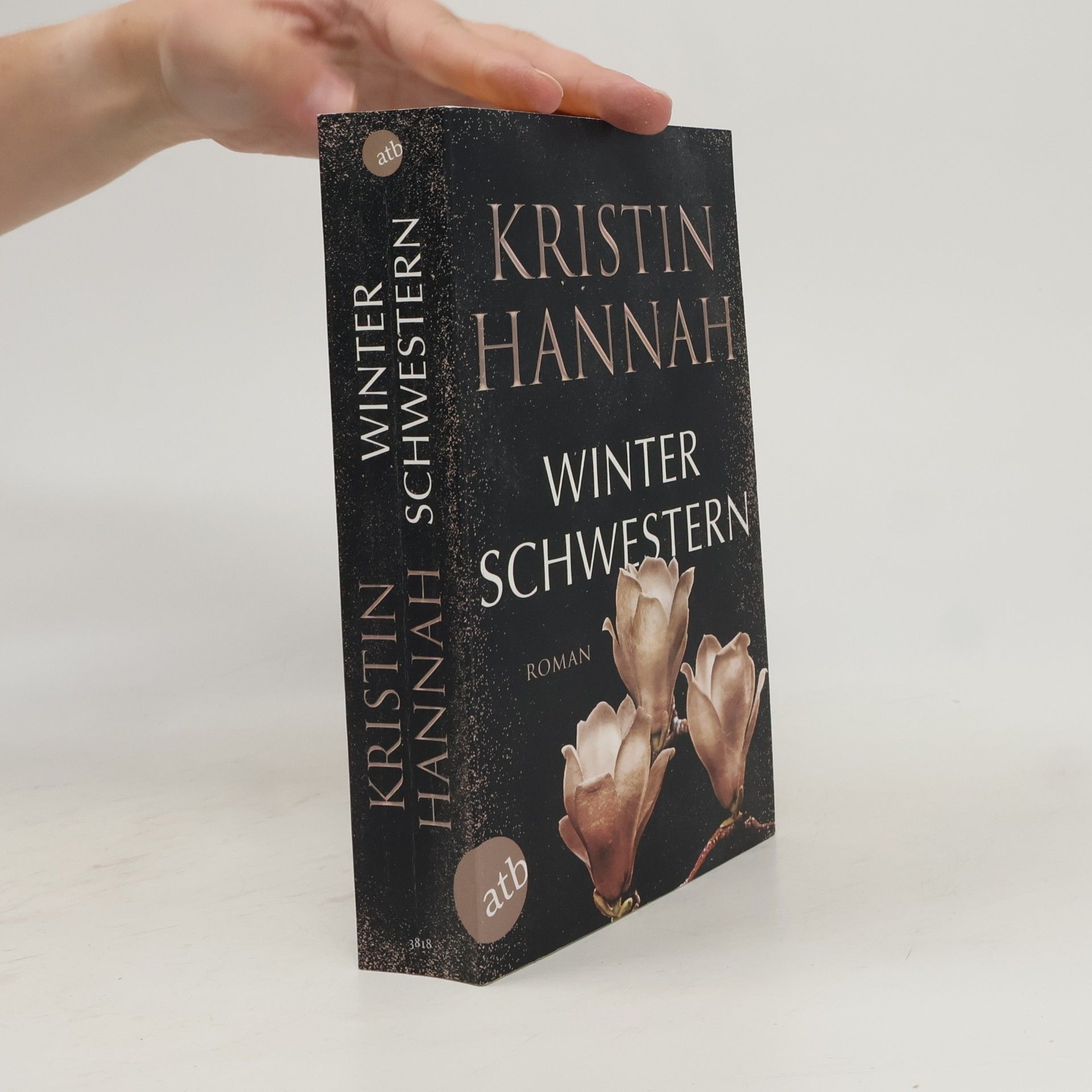 Kristin Hannah Winterschwestern