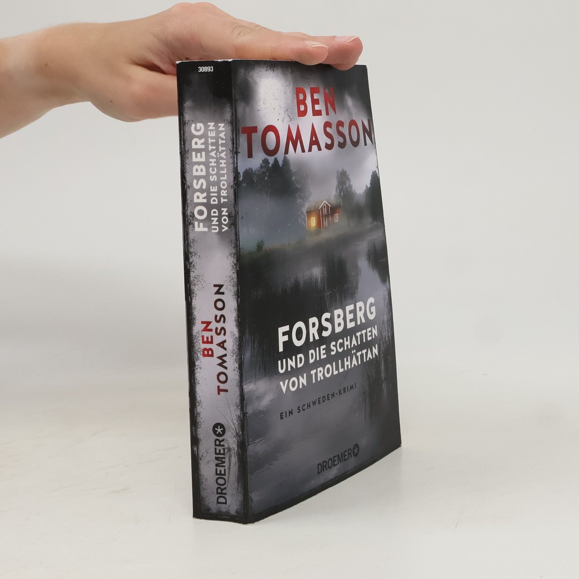 Ben Kryst Tomasson Forsberg und die Schatten von Trollhättan / Frederik Forsberg Bd.4