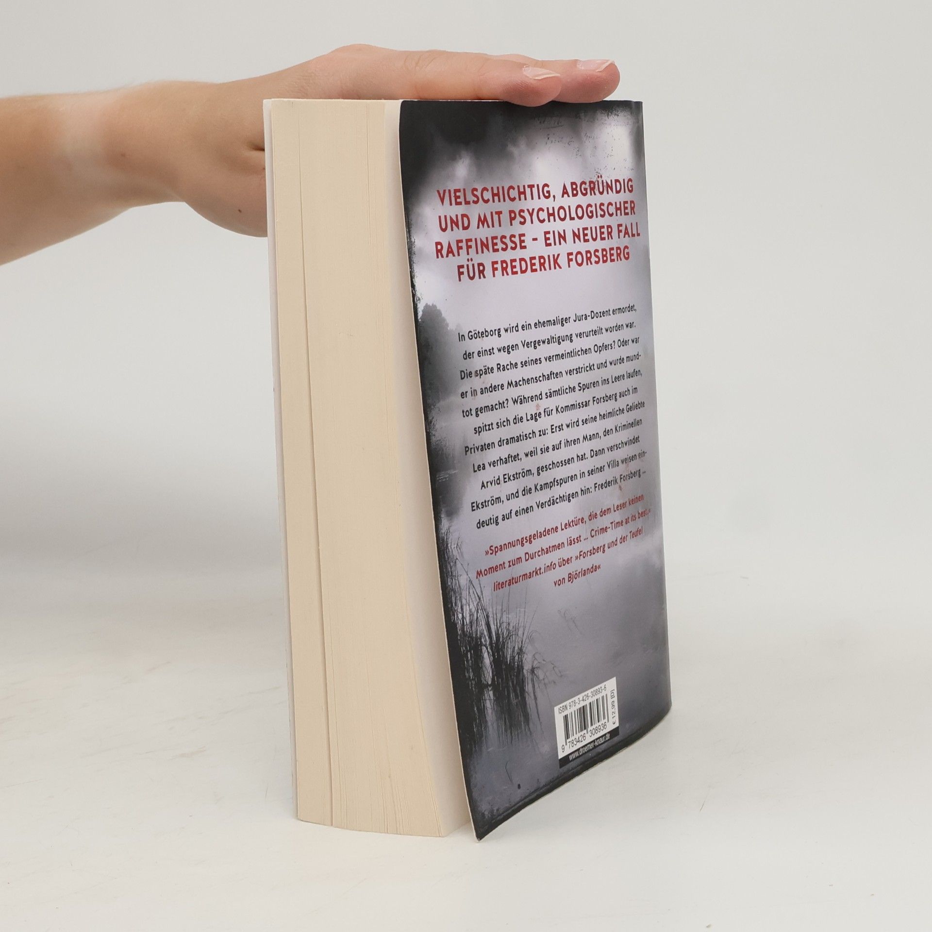Ben Kryst Tomasson Forsberg und die Schatten von Trollhättan / Frederik Forsberg Bd.4