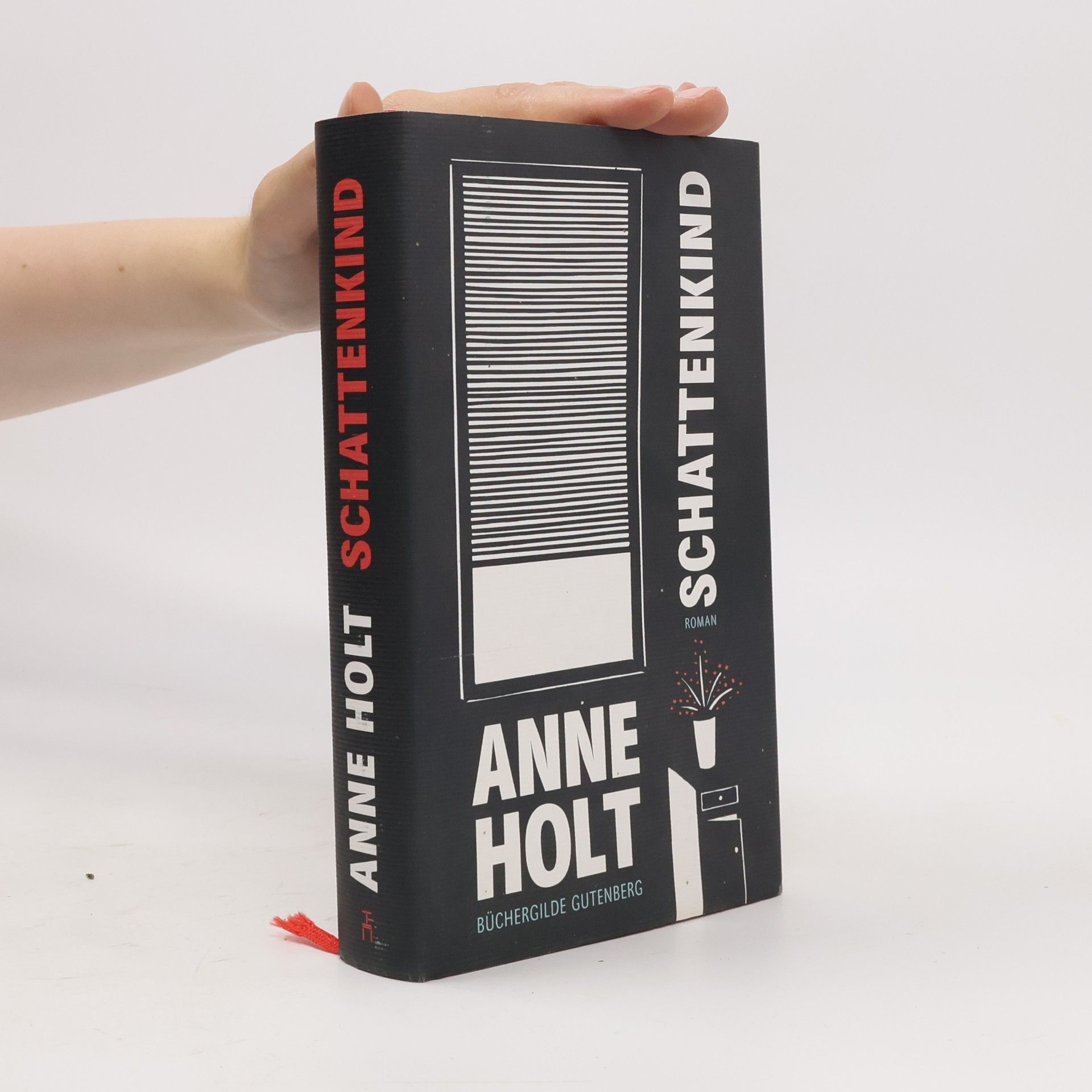Anne Holt Schattenkind