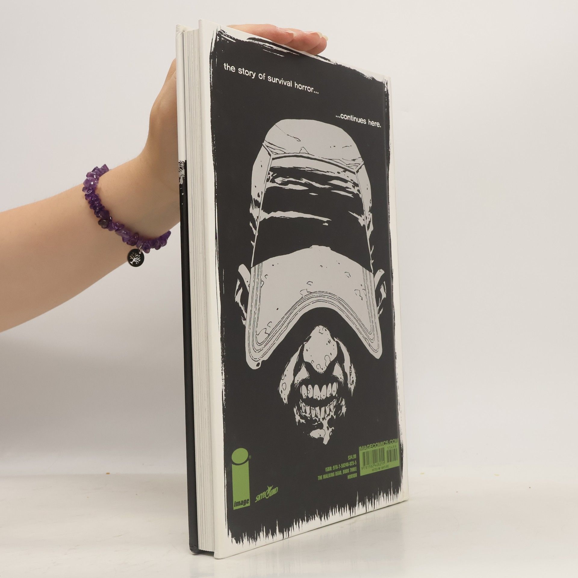 Robert Kirkman The Walking Dead. Book Three