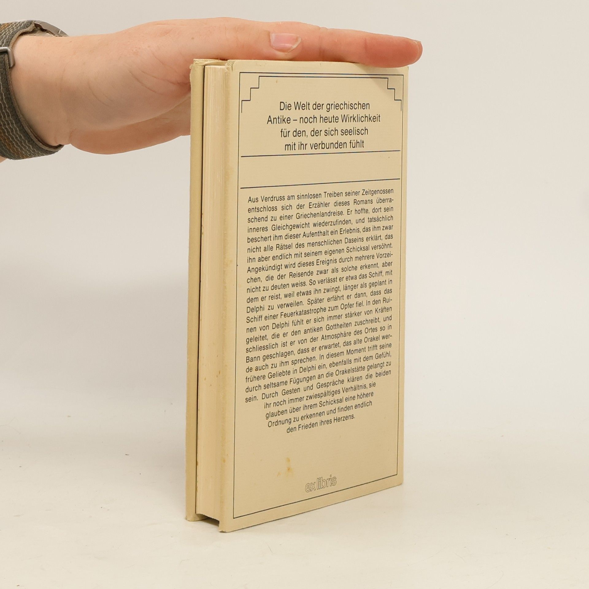 Horst Wolfram Geißler Das Orakel. Reisetagebuch eines andern
