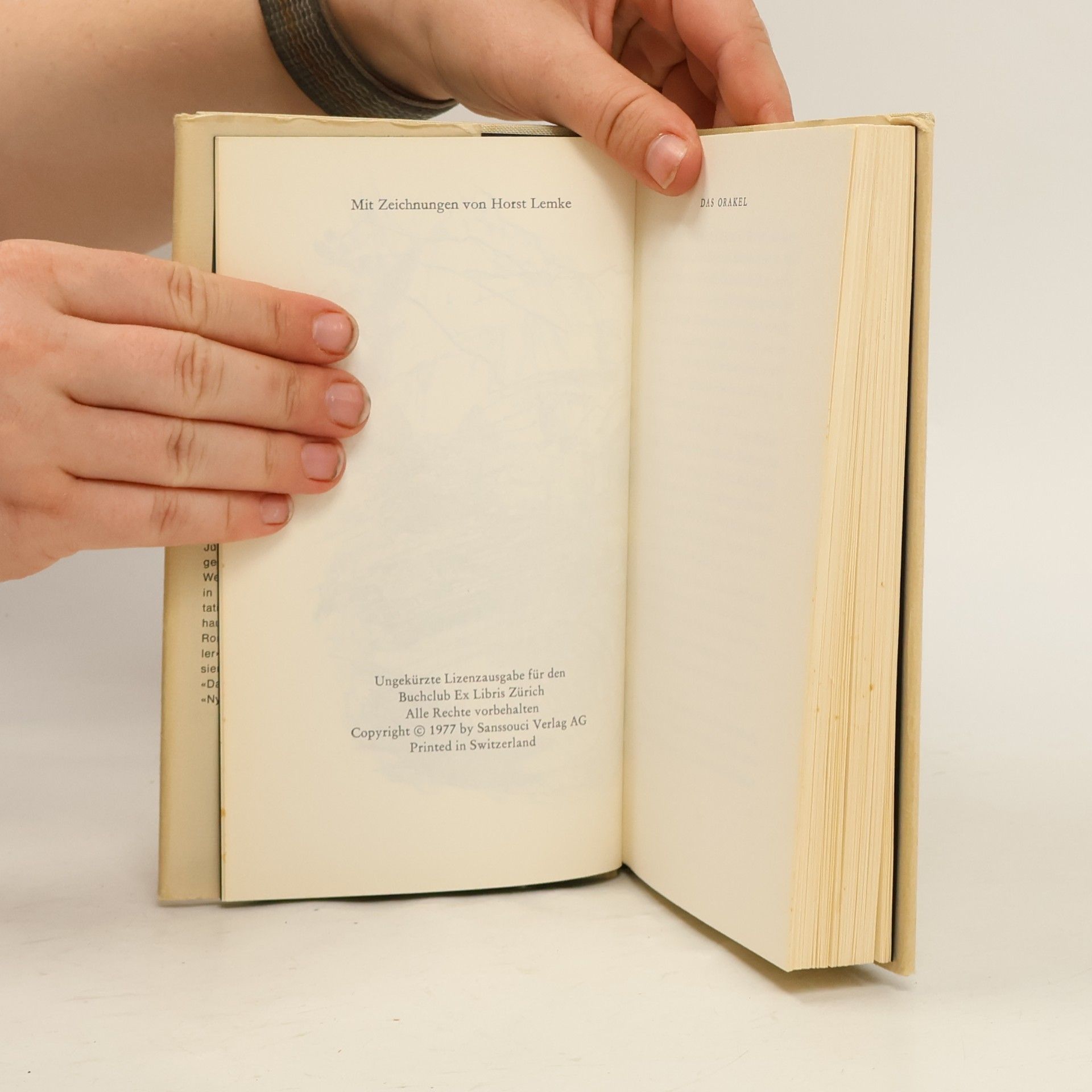 Horst Wolfram Geißler Das Orakel. Reisetagebuch eines andern