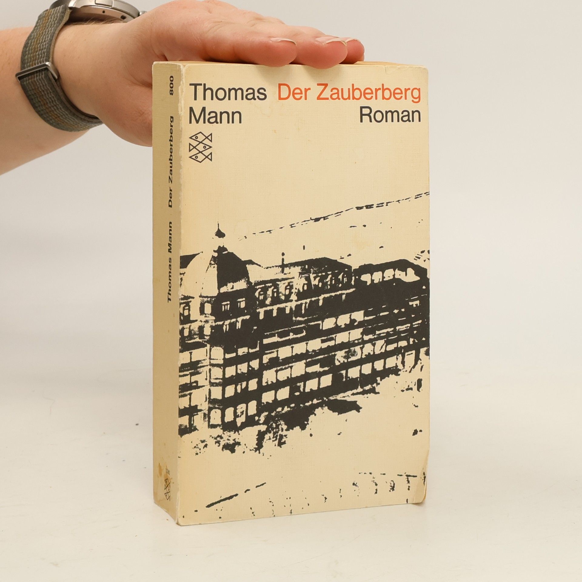 Thomas Mann Der Zauberberg
