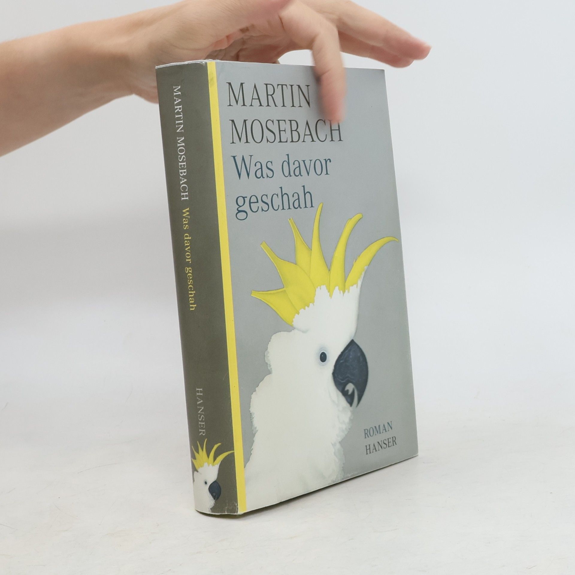 Martin Mosebach Was davor geschah