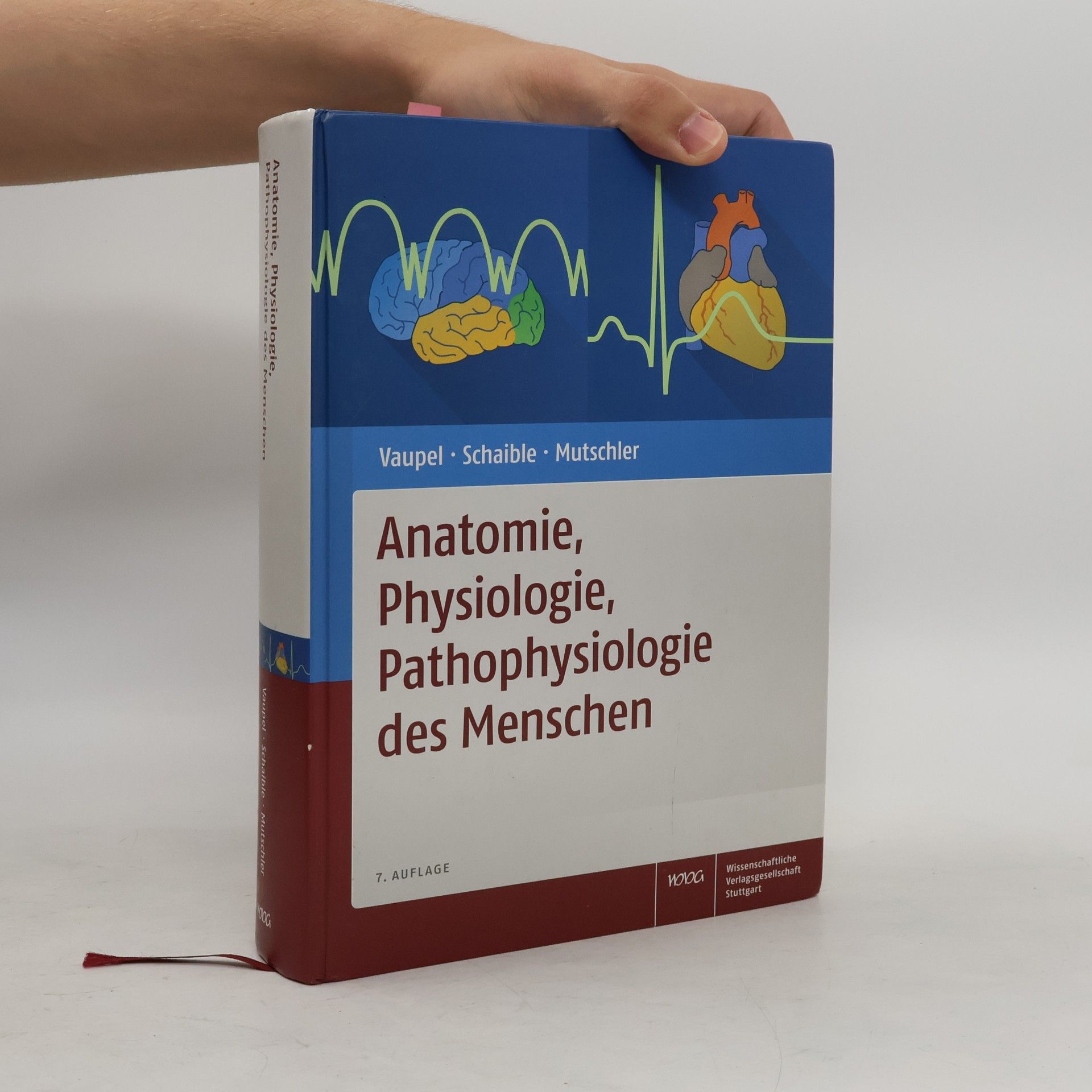 Hans-Georg Schaible Anatomie, Physiologie, Pathophysiologie des Menschen - 7. Auflage