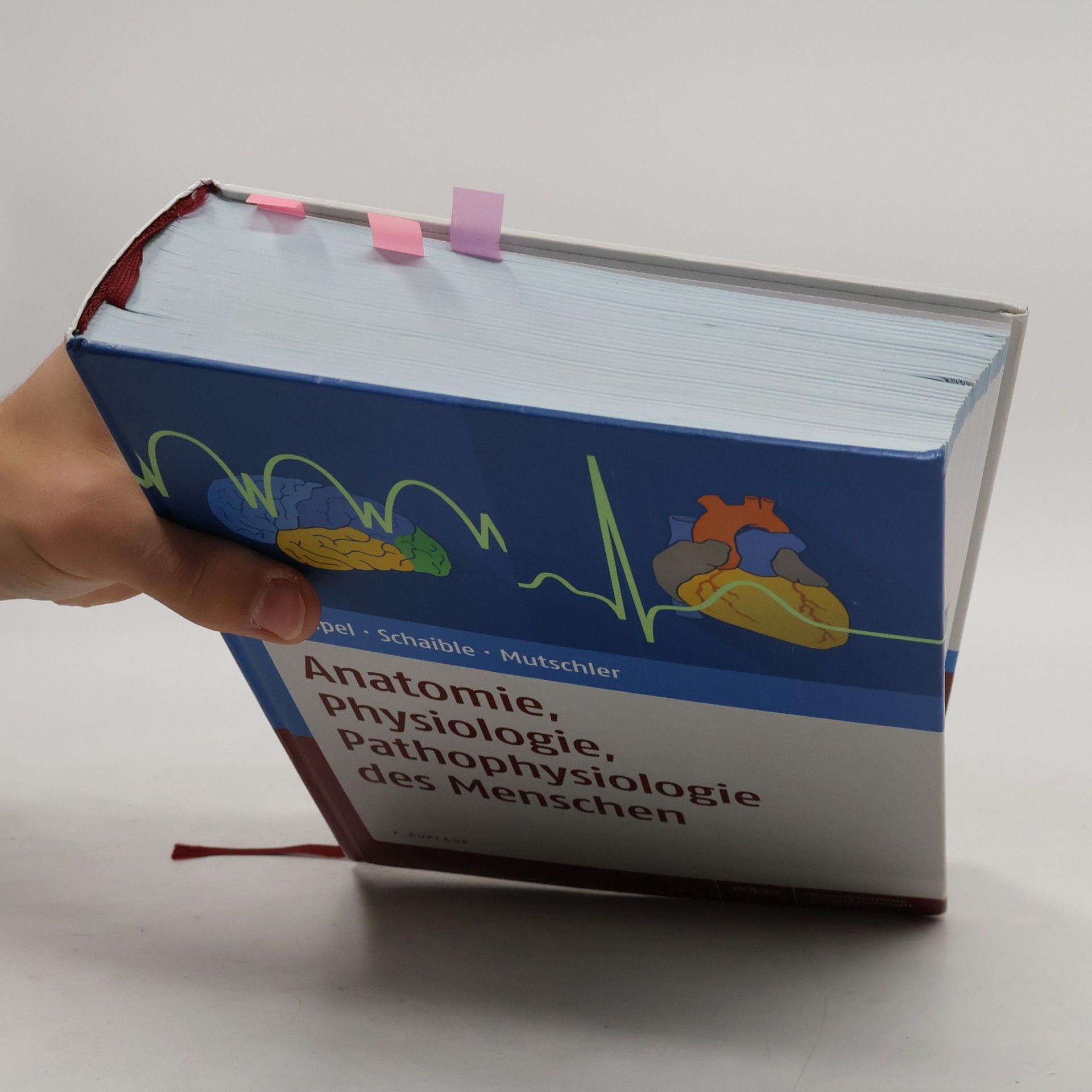 Peter Vaupel Anatomie, Physiologie, Pathophysiologie des Menschen - 7. Auflage