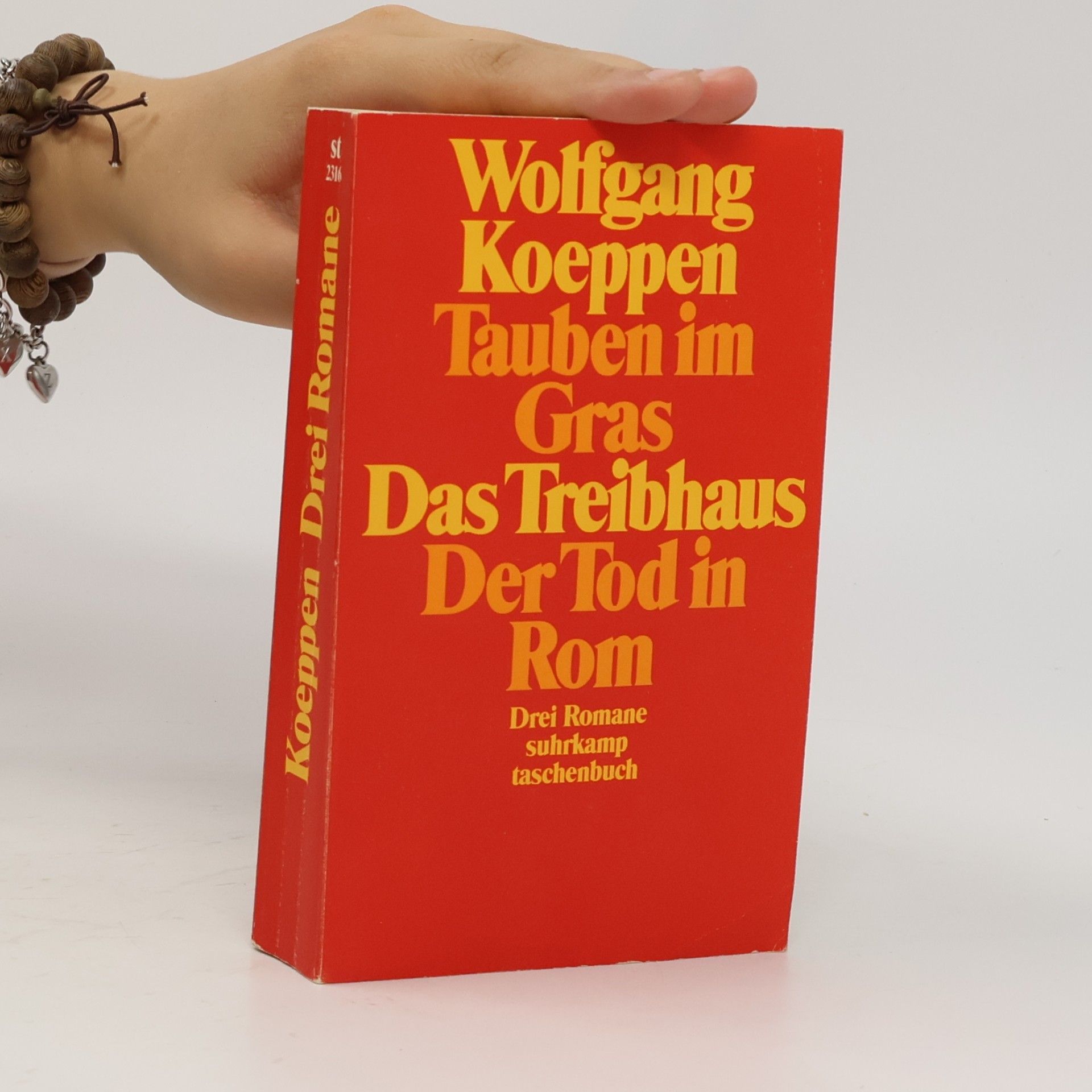 Wolfgang Koeppen Tauben im Gras