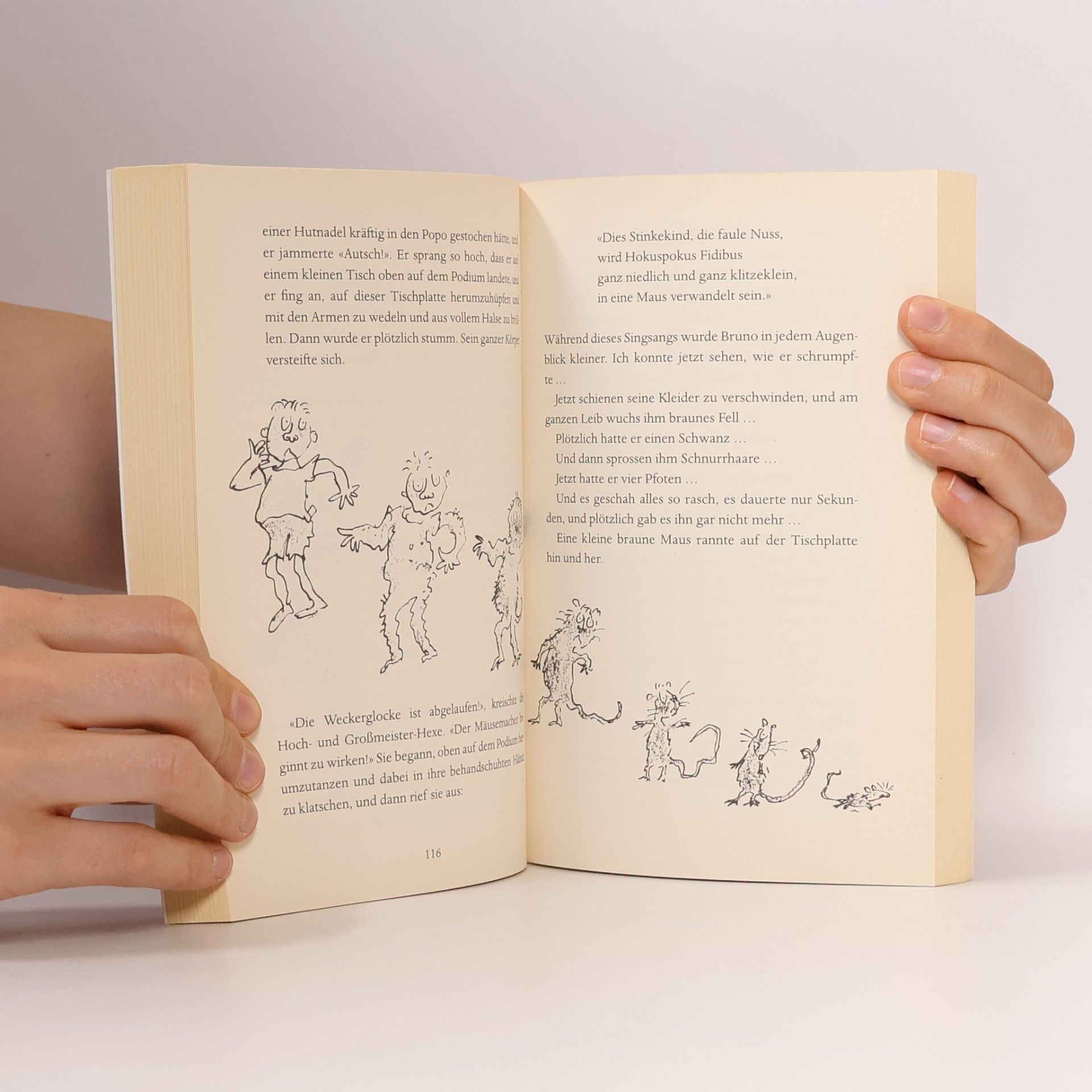 Roald Dahl Hexen hexen
