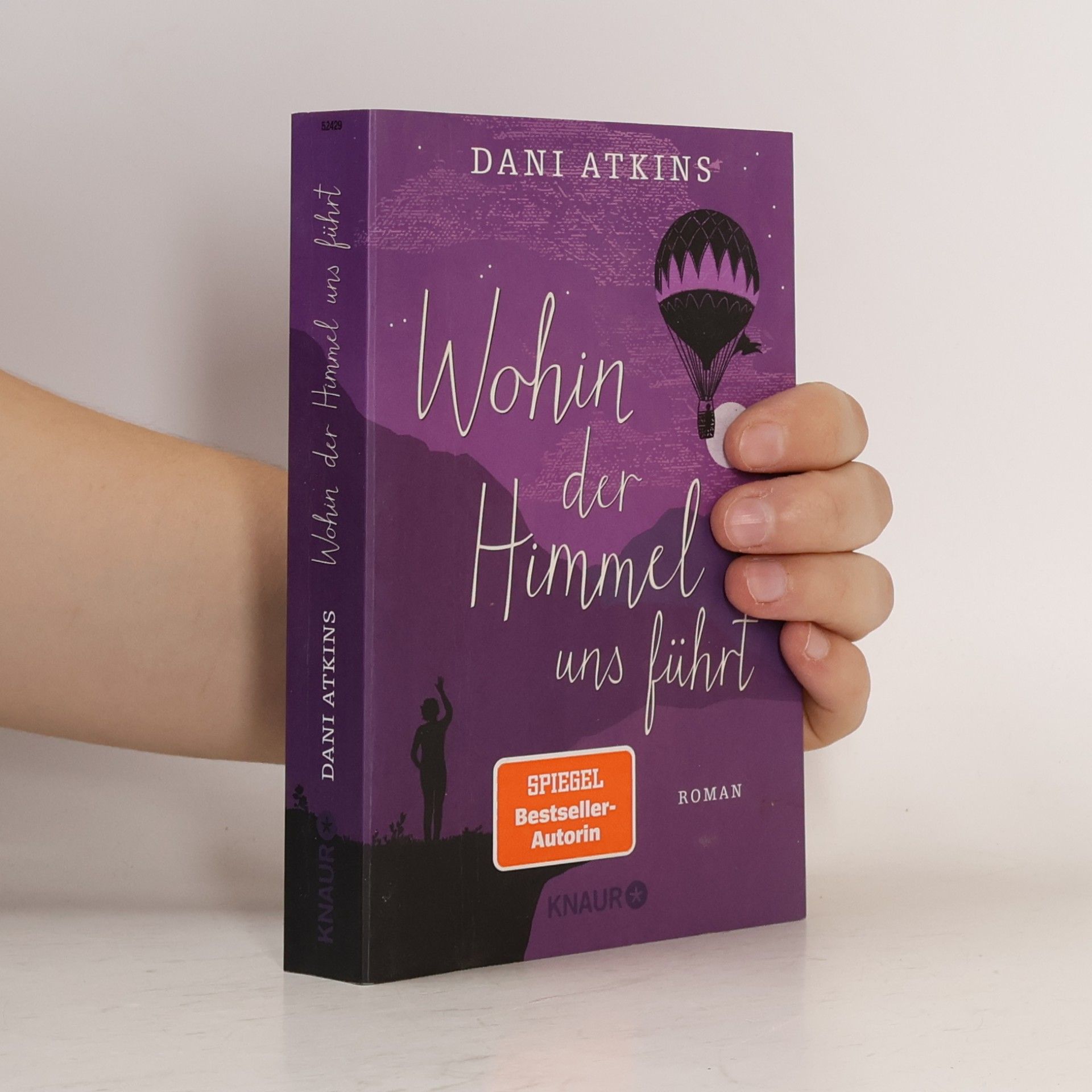 Dani Atkins Wohin der Himmel uns führt