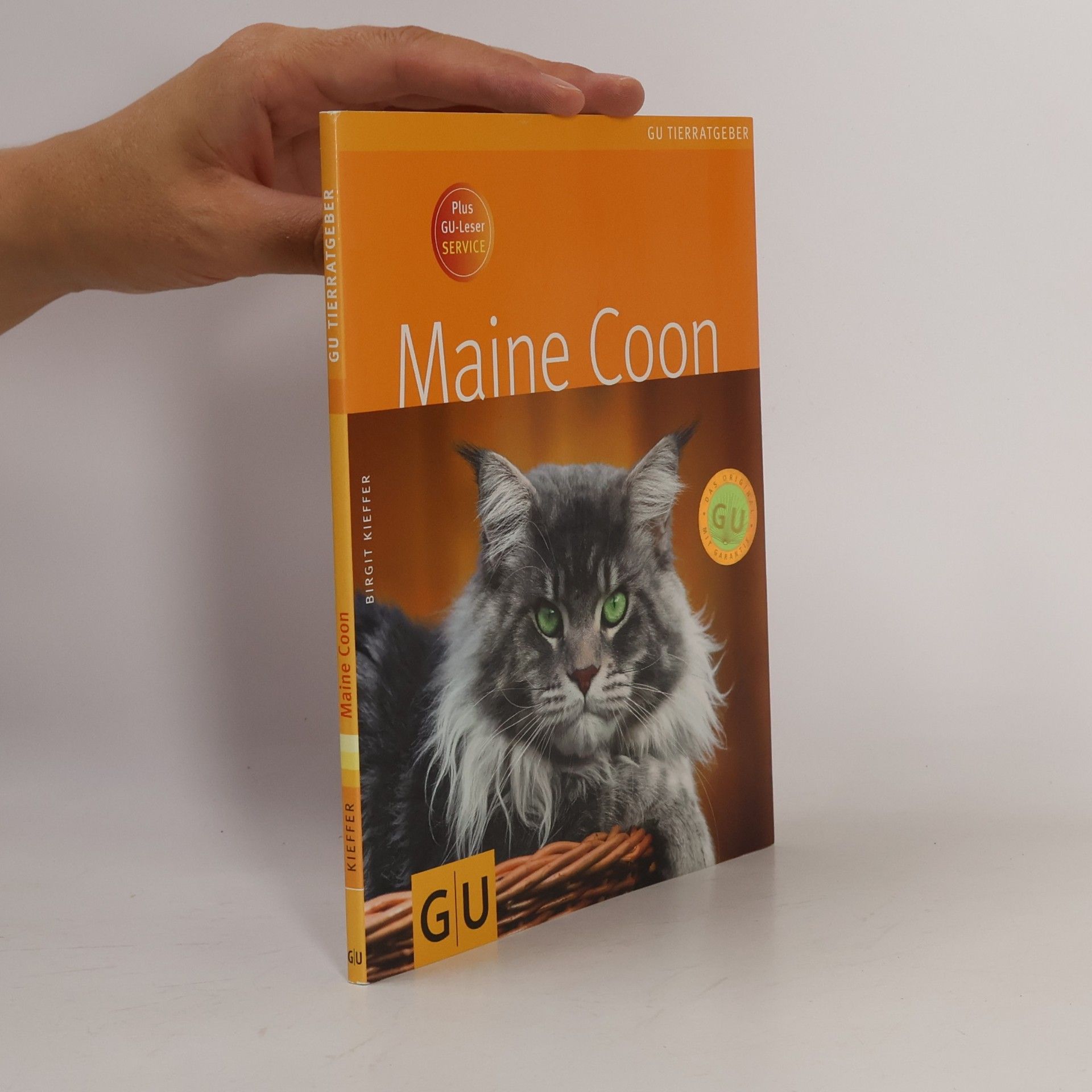 Maine Coon