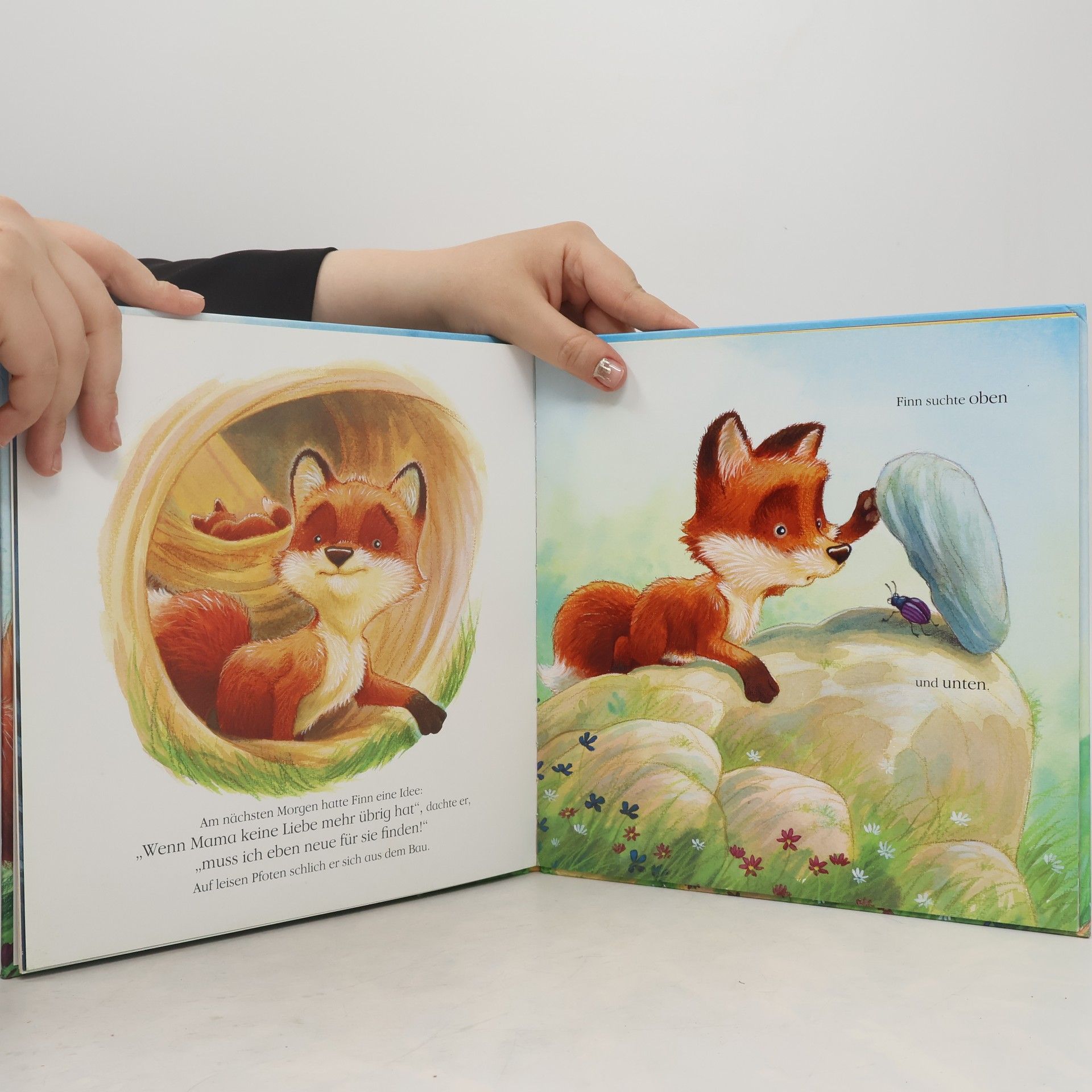 Angela McAllister Ich hab' dich lieb, kleiner Fuchs