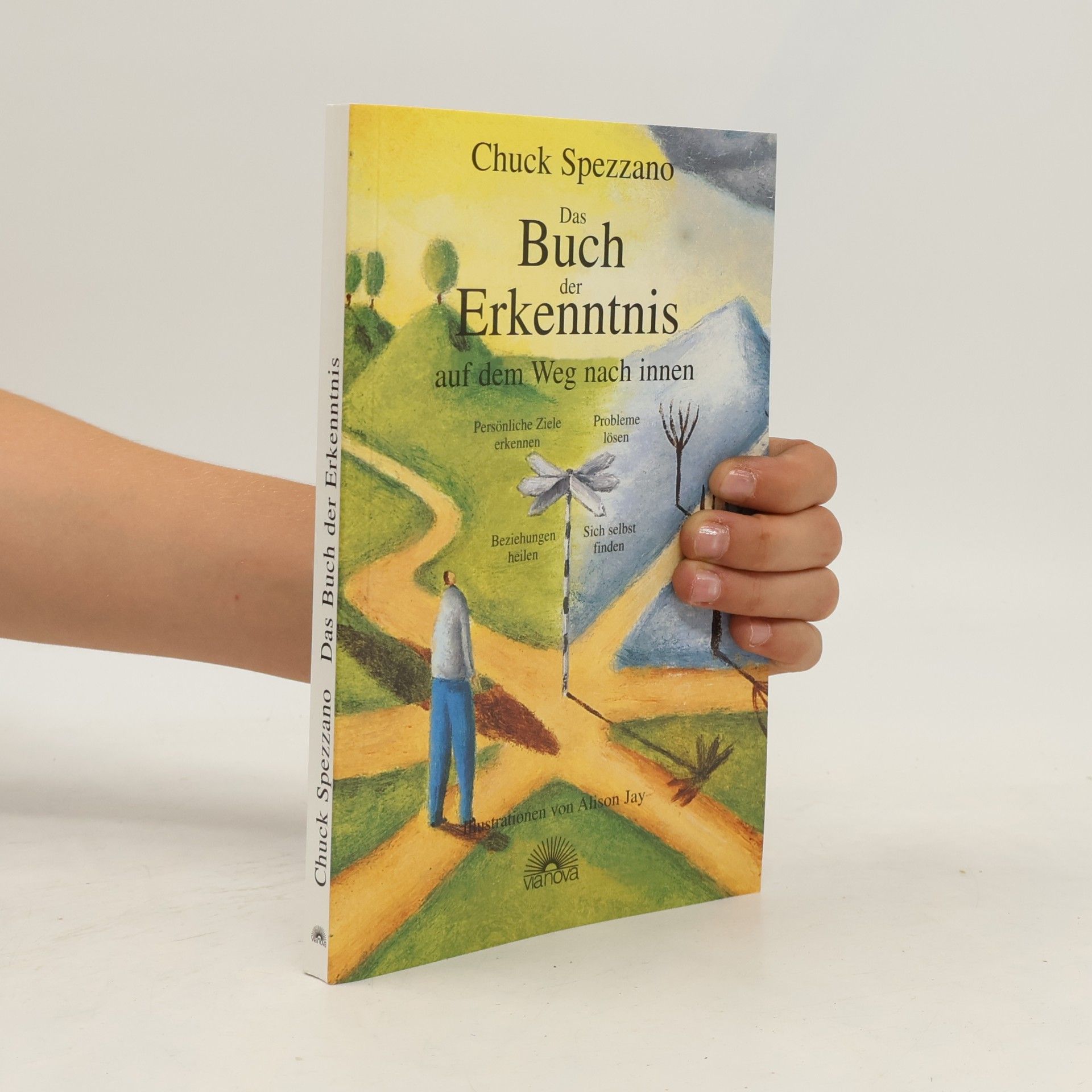 Chuck Spezzano Karten der Erkenntnis auf dem Weg nach innen